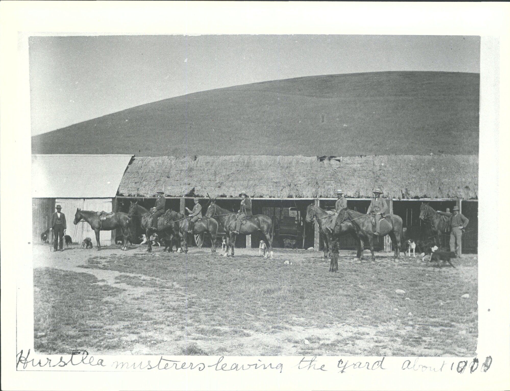 Musterers leaving the yard