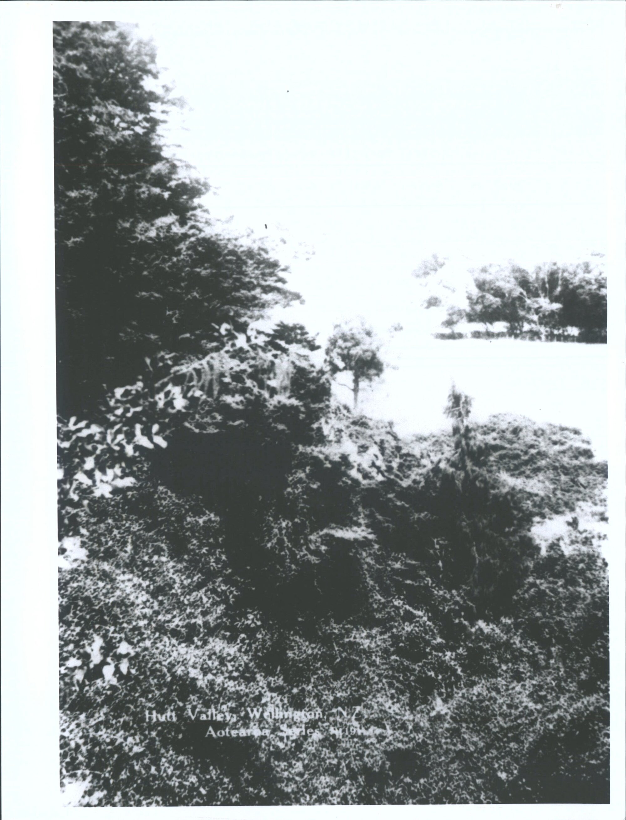 Hutt Valley, Wellington, N.Z.