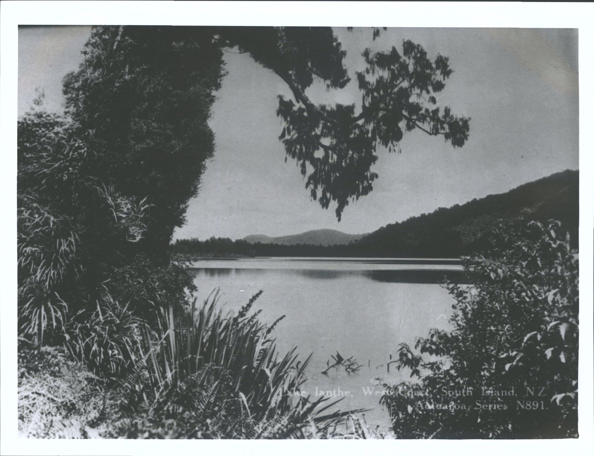 "Lake Ianthe, West Coast, South Island NZ"