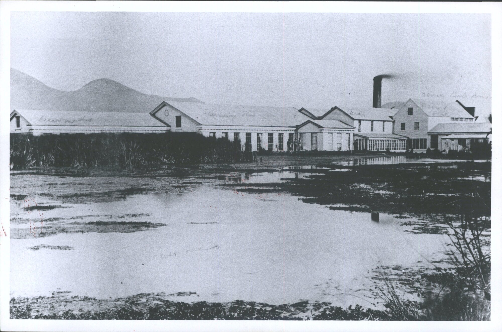 Mosgiel Woollen Mills early 1870's