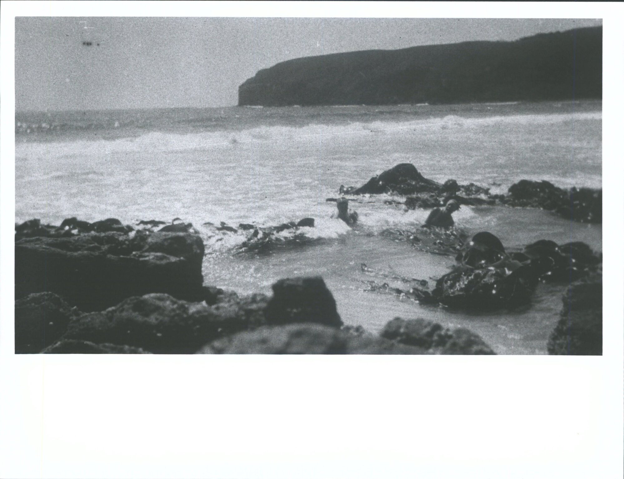 Looking toward [Purakanui - not so] Kaikai's Beach