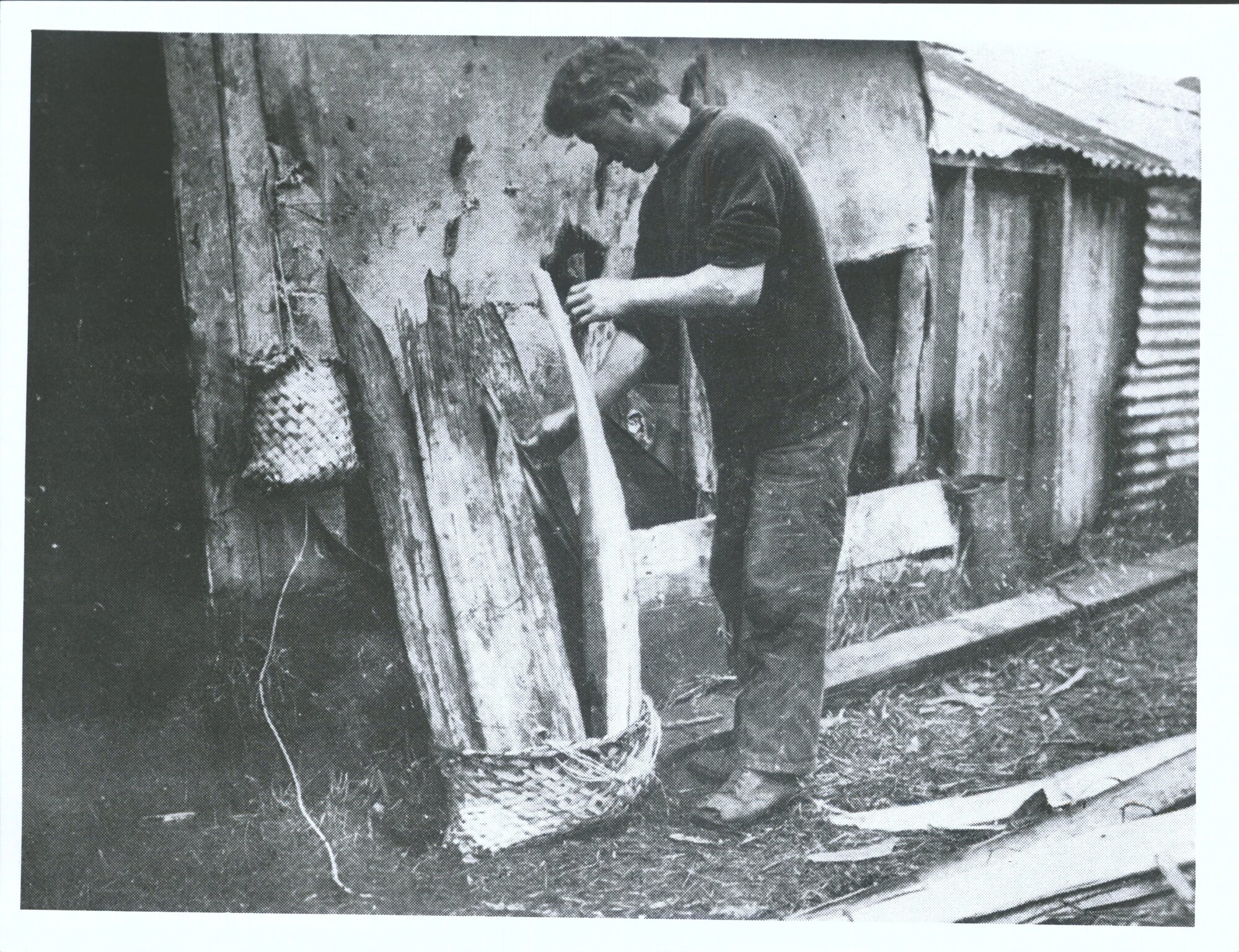 Placing totara bark around the kelp bag in the flax basket