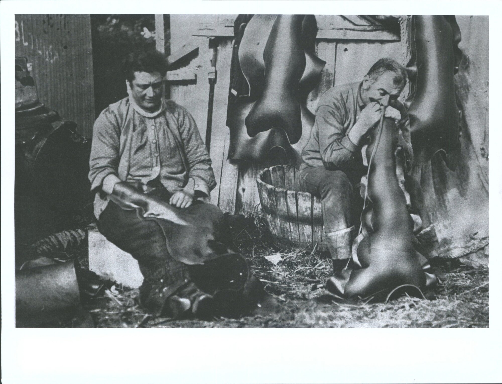 "Getting the Kelp bags ready for the reception of the prepared mutton birds"