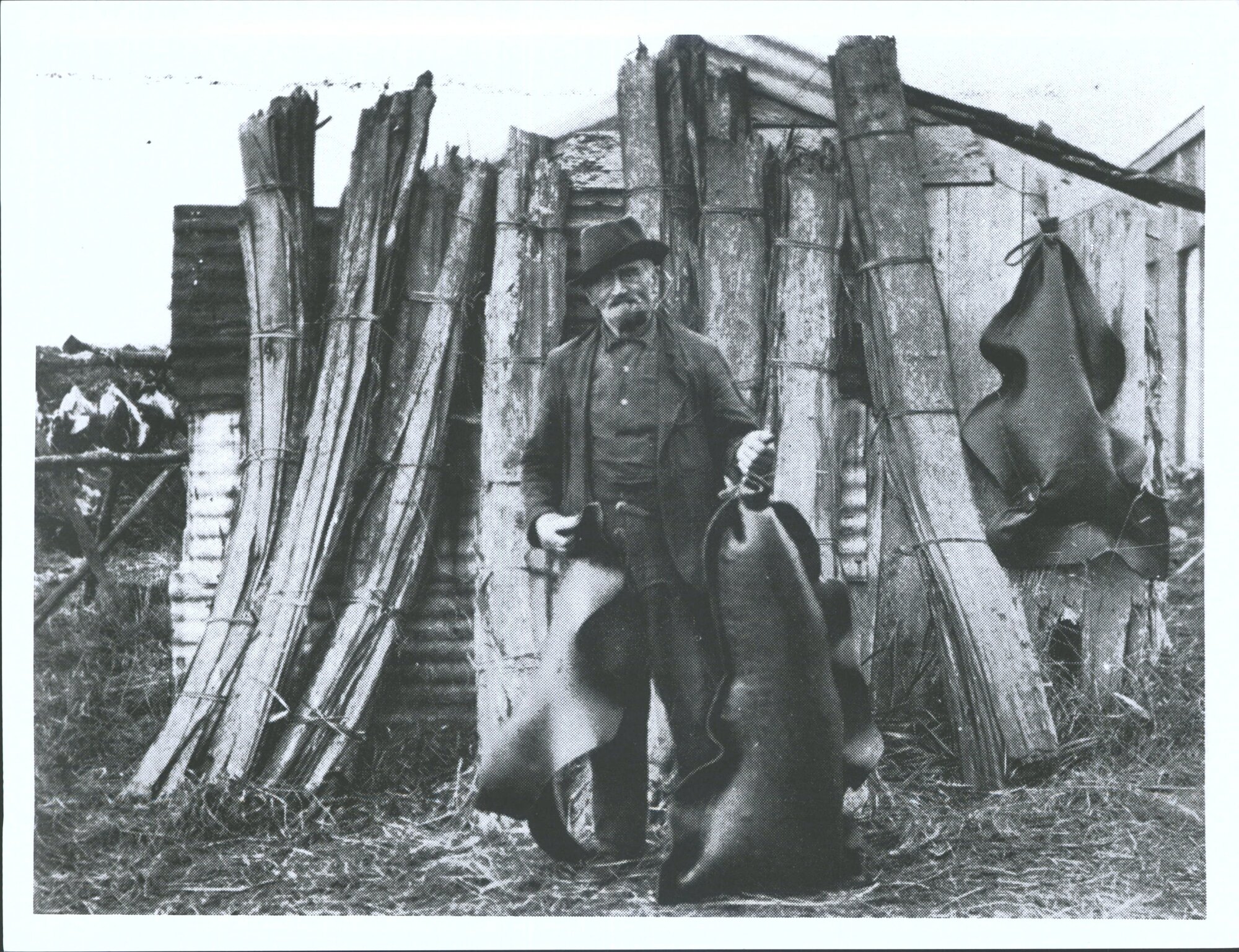 materials used in packing kits of mutton birds for Marketing : Kelp leaves blown up to form bags, protecting the kits when full