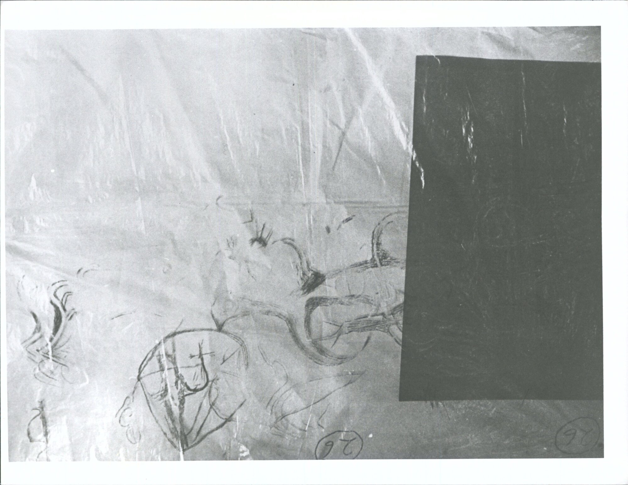 Black Jack's Point Lake Benmore Northern Otago