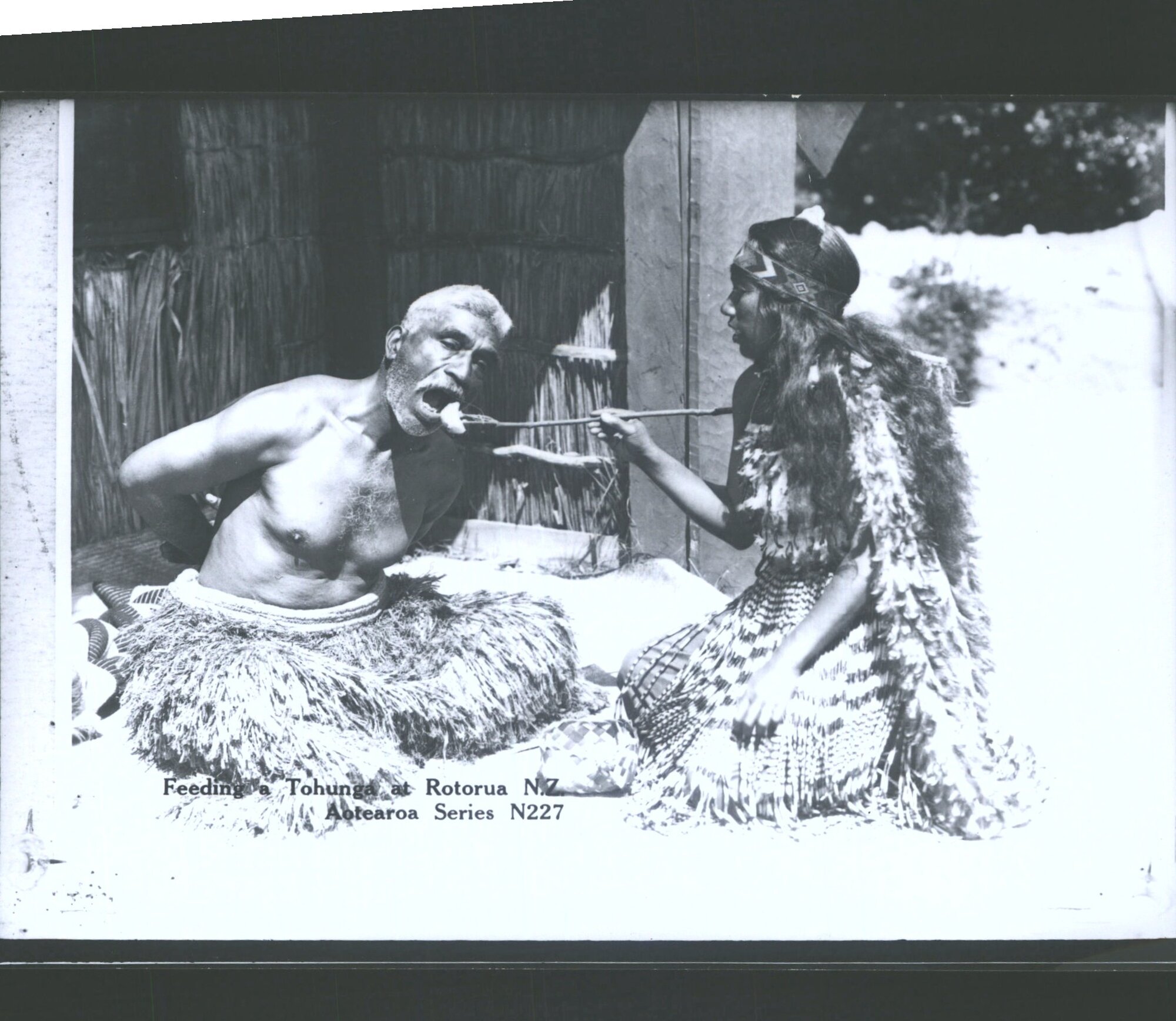 Feeding a Tohunga at Rotorua, N.Z.