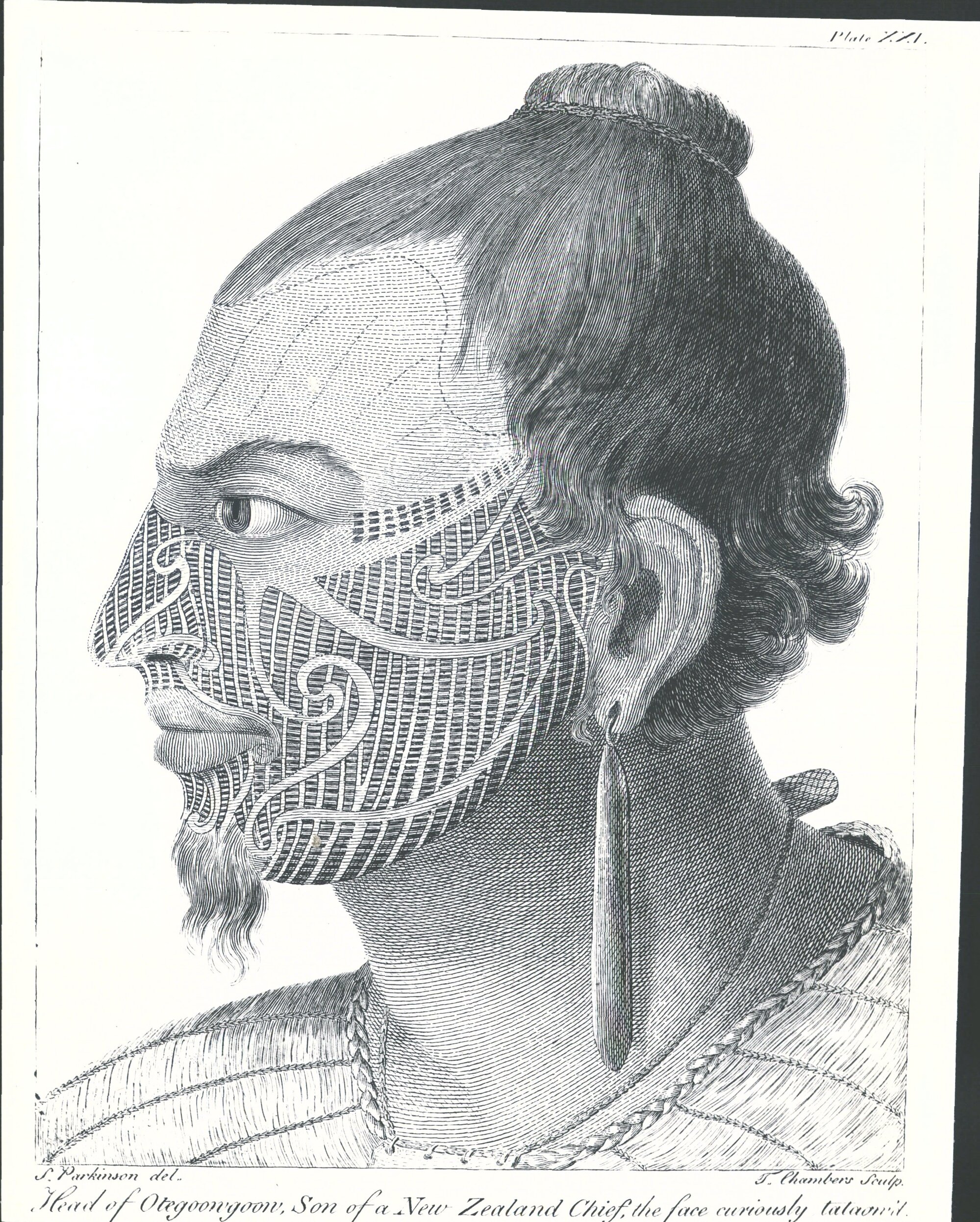 Head of Olegoongoon, son of a NZ Chief, the face curiousity, tataow"d