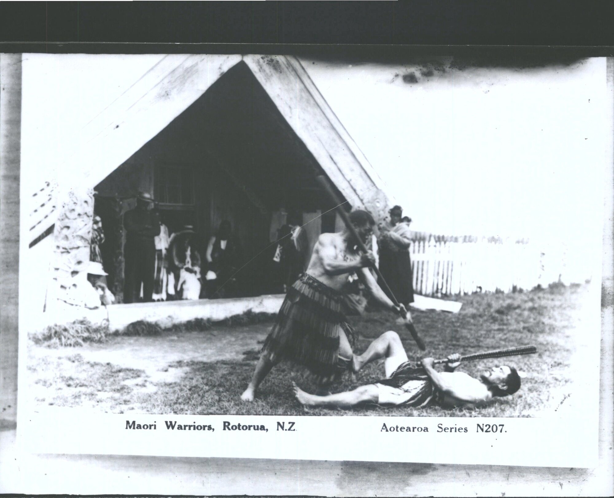 Maori Warriors, Rotorua, N.Z.