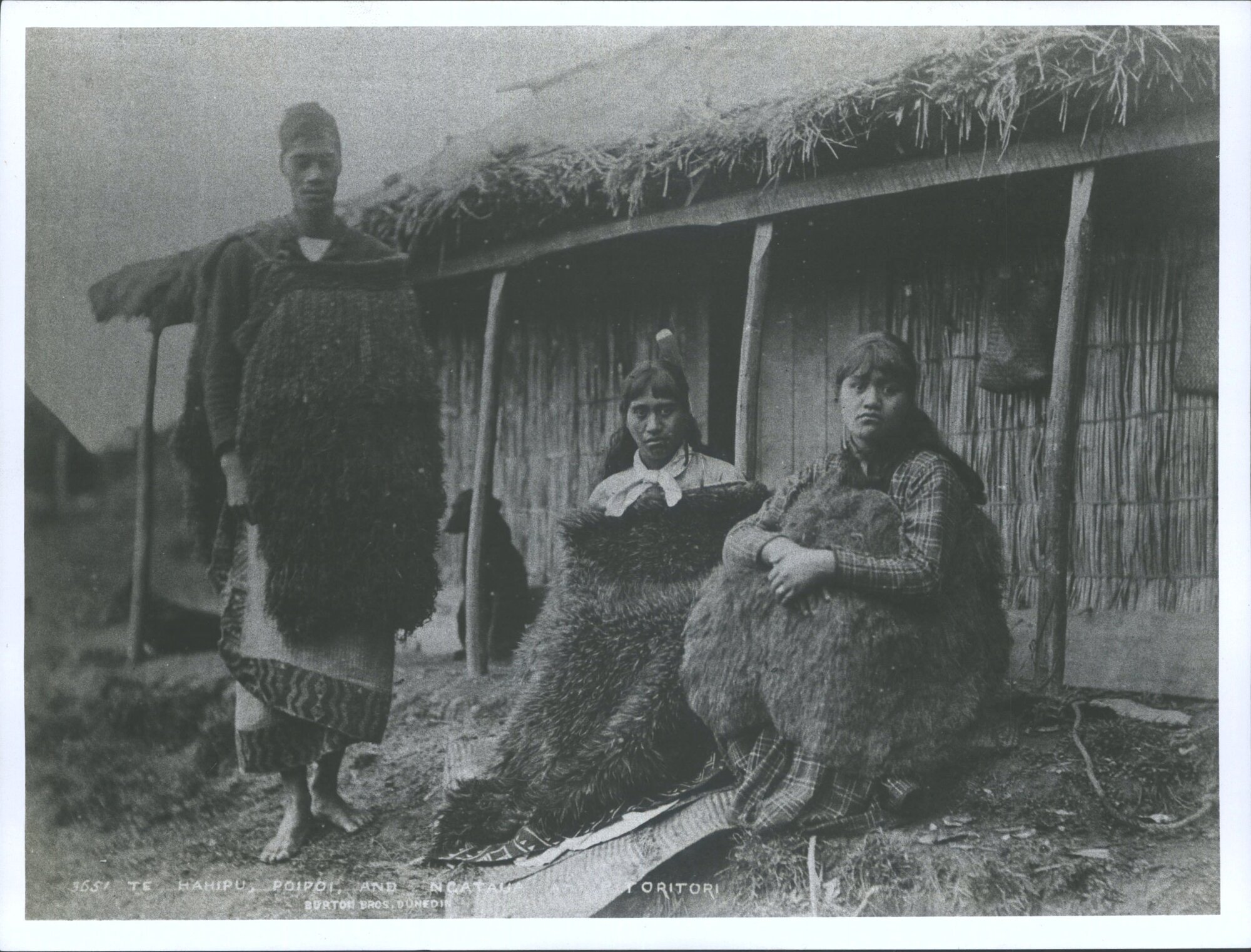 Hahipu, Poipoi   Ngataua at Pitoritori