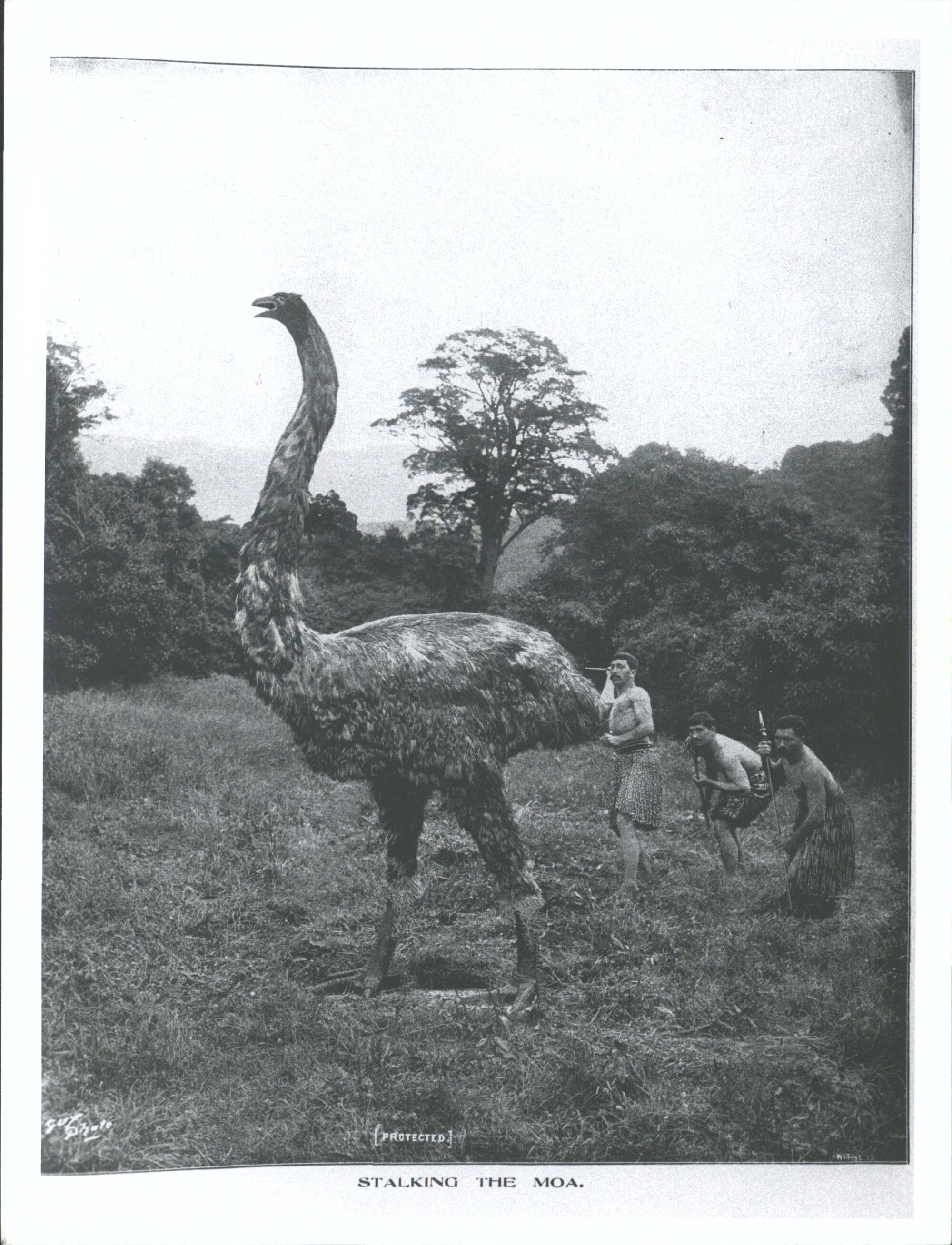 Hiroa, Te Rangi, Dr Wi Repa &amp; Nuku, &amp; student [Sir Peter Henry Buck]