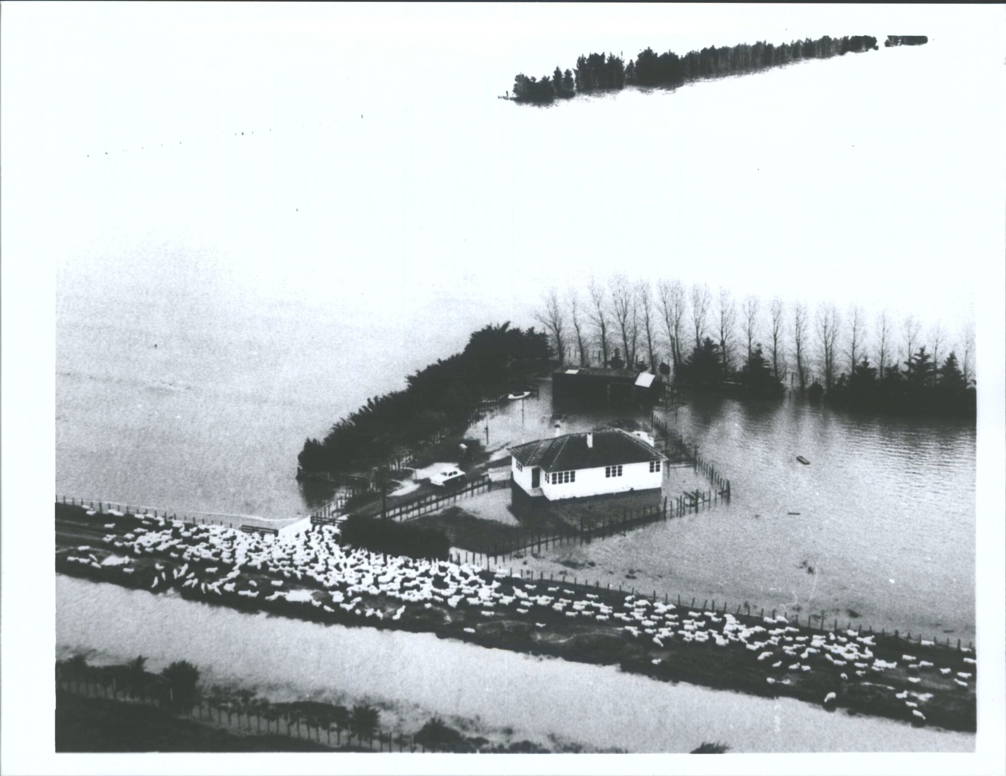 Floods Pakowhai 1963 (12km  from Napier)