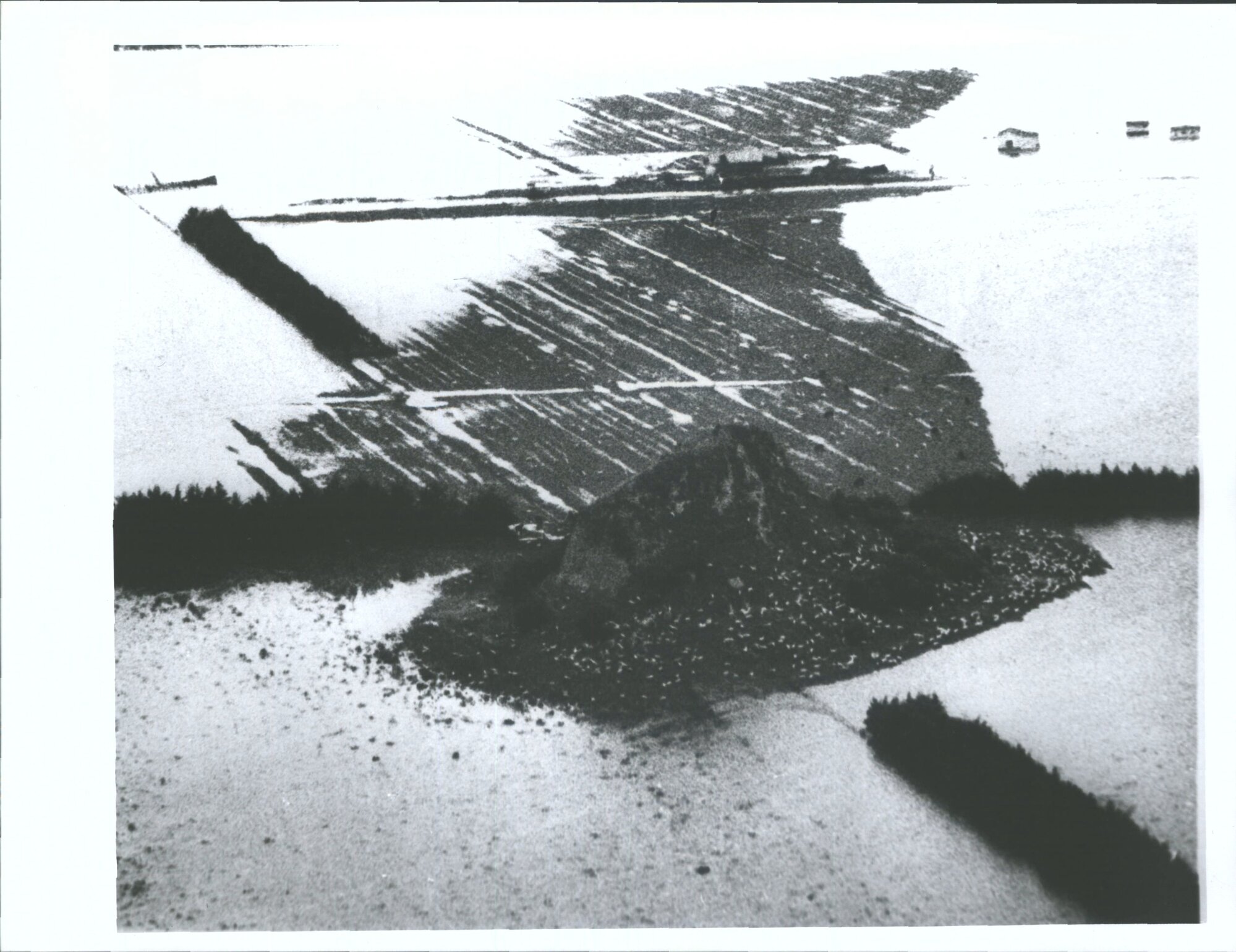 Floods Pakowhai 1963 (12km from Napier)