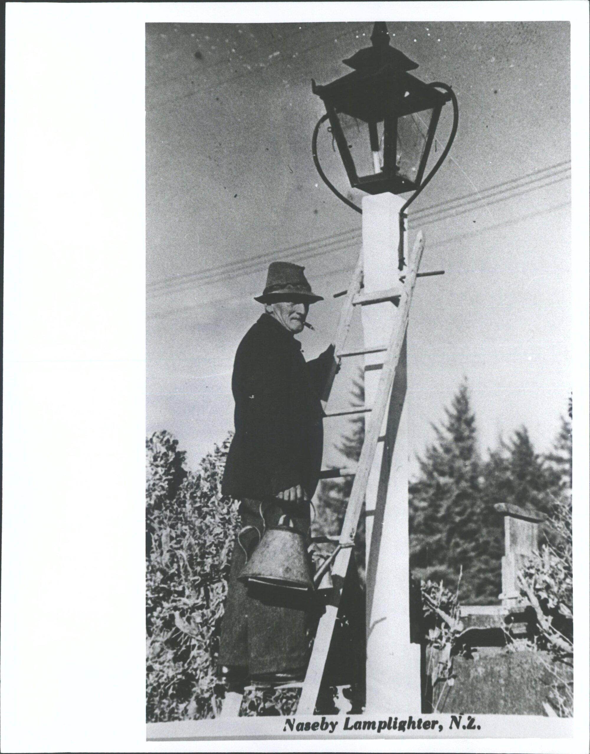 Lamplighter - Billy Jacob.