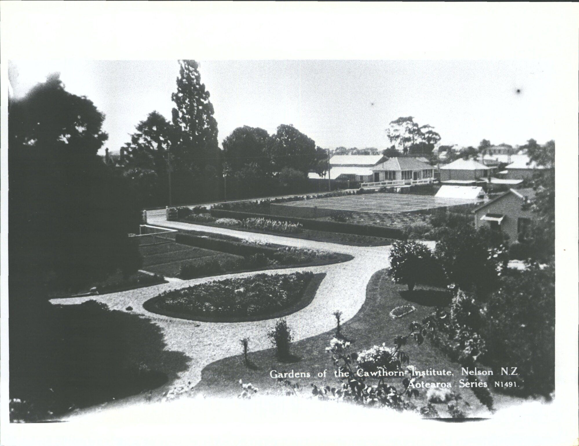 Gardens of the Cawthorn Institute, Nelson, N.Z.