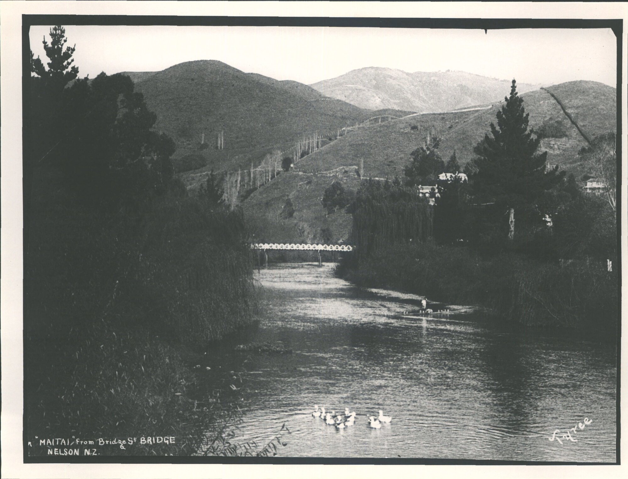 "Maitai" from Bridge St Bridge