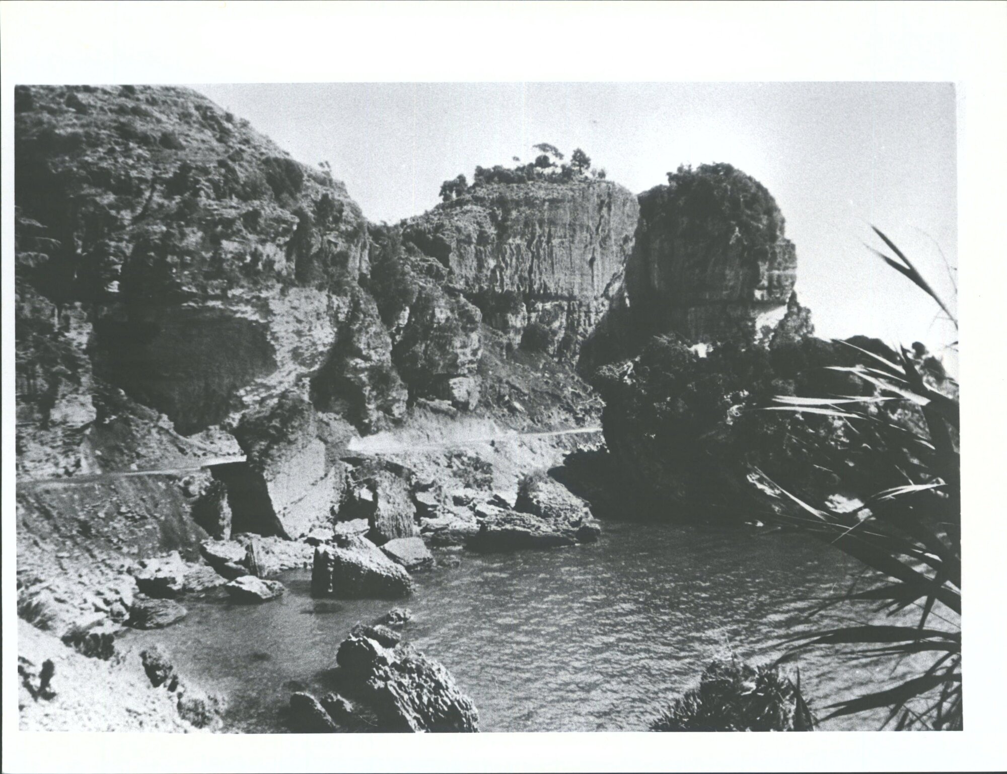 Nelson to Golden Bay Coastal route