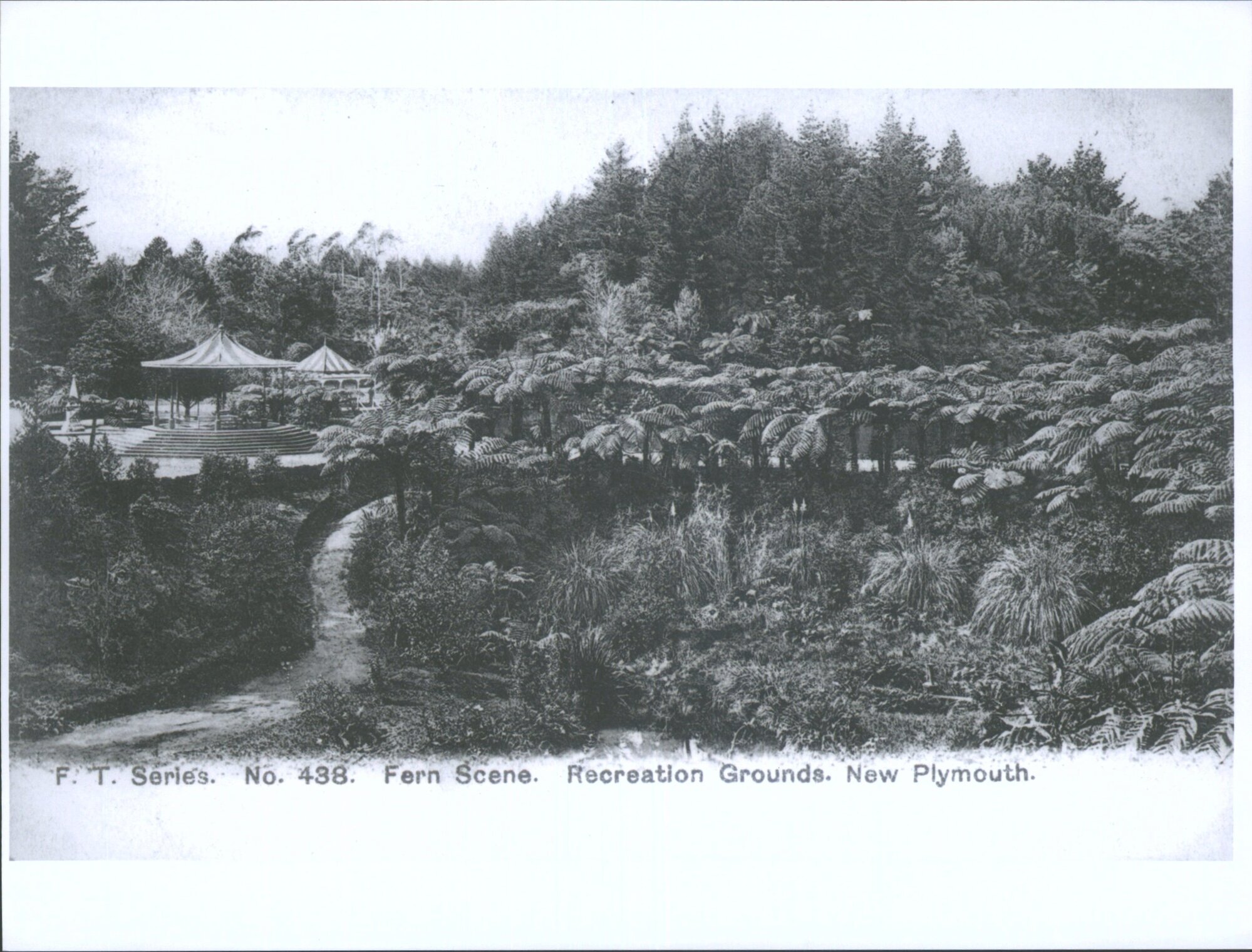 Fern Scene, Recreation Grounds