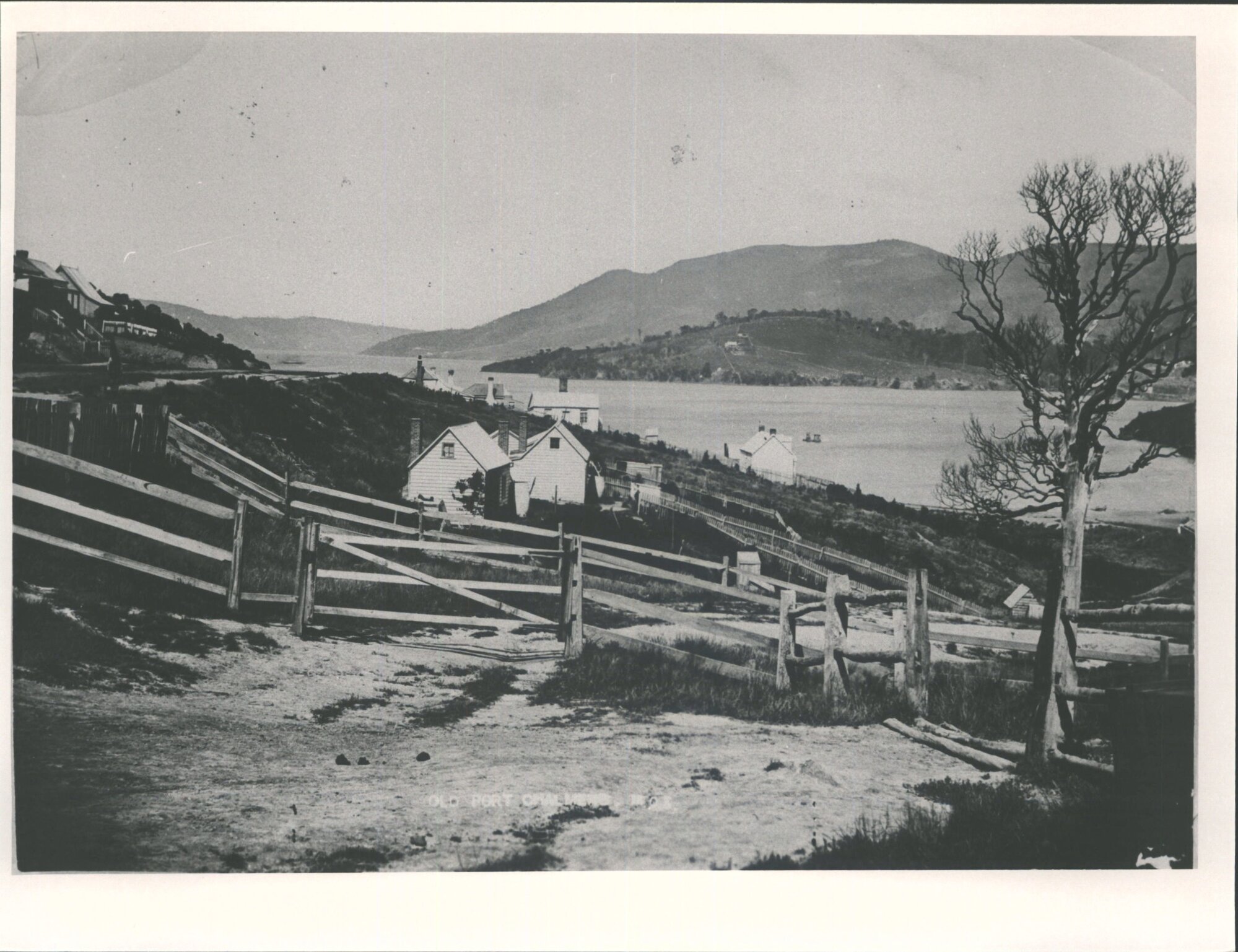 Old Port Chalmers "Top of Currie St late Sixties? Note Rifle butts in Mussel Bay"