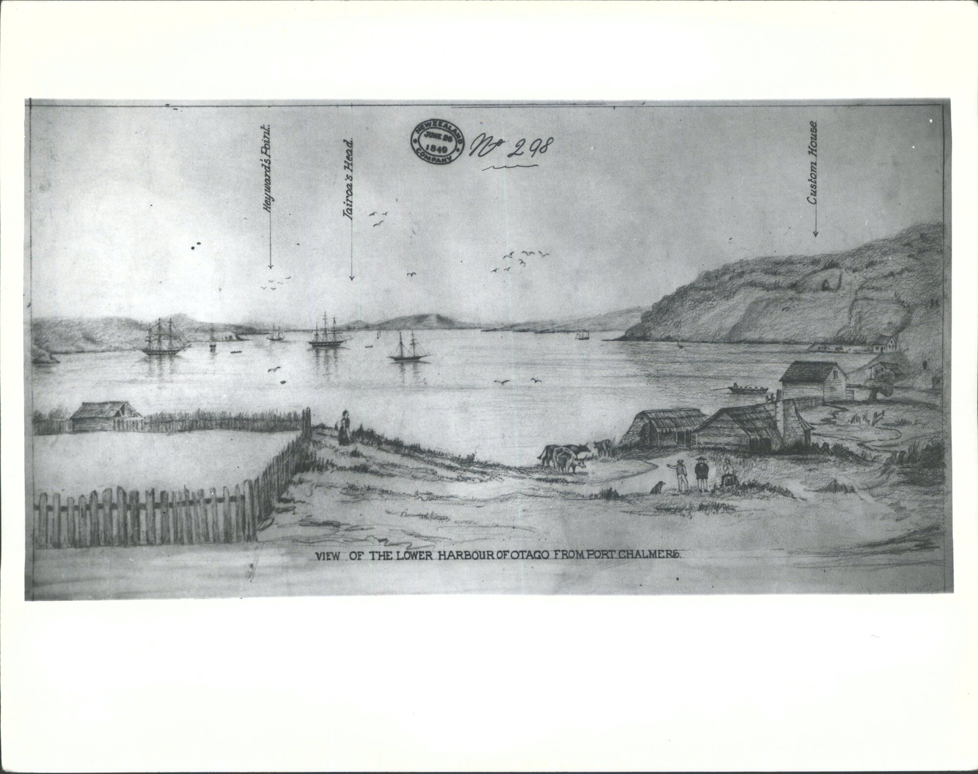 Lower Harbour &amp; Port Chalmers 1849 (Pencil)