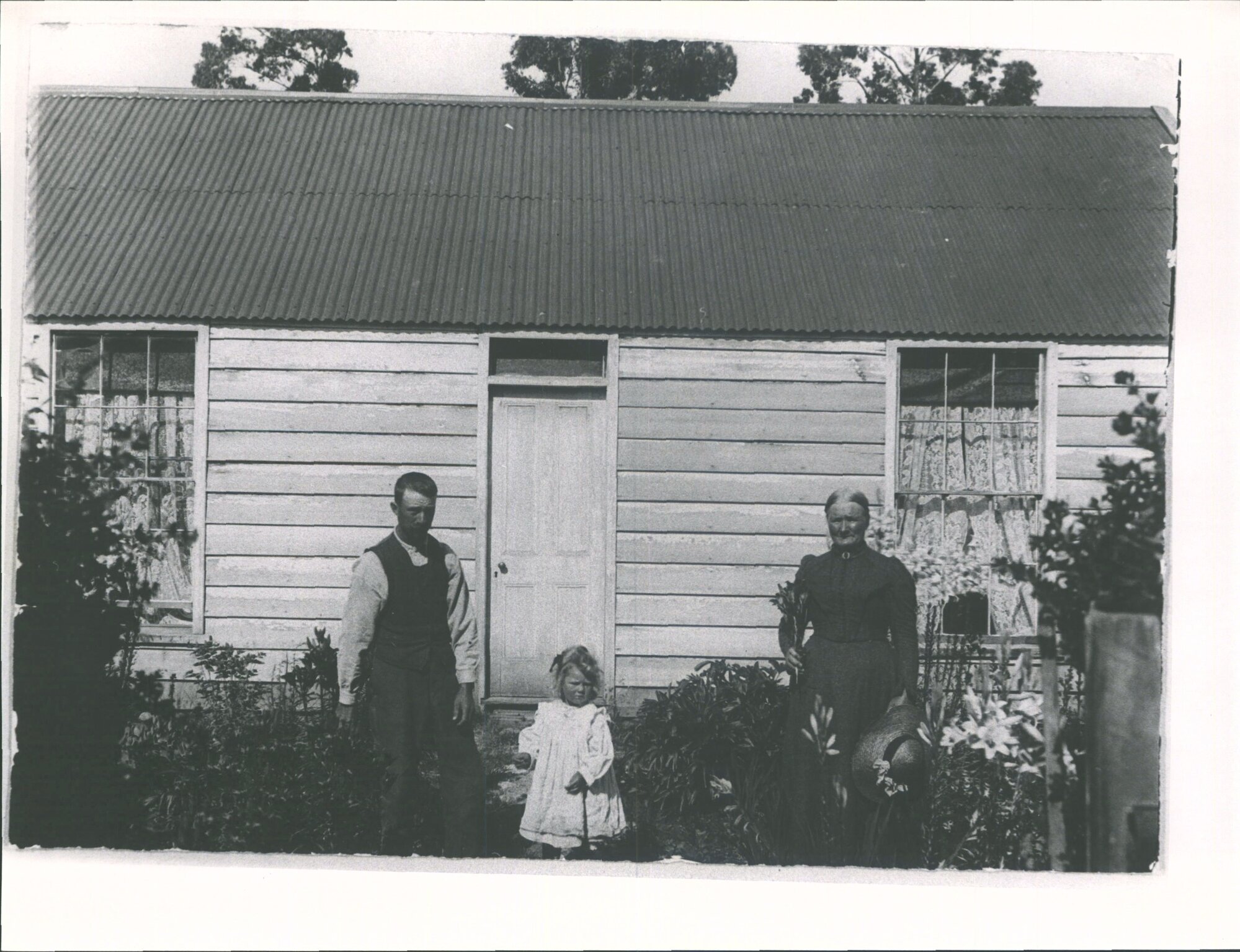 The Springs (Robertson), North Taieri, near Wairongoa
