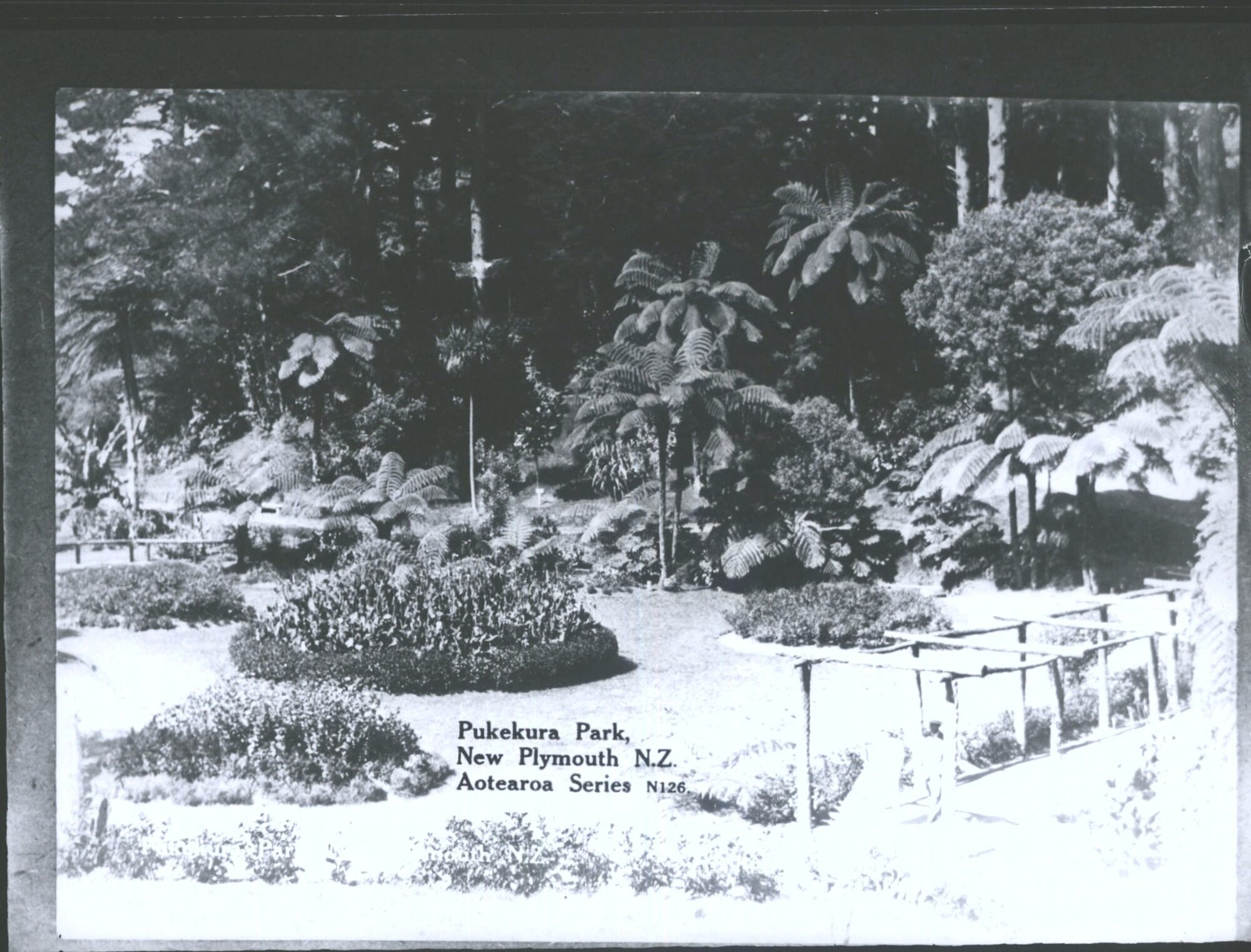 Pukekura Park, New Plymouth, N.Z.
