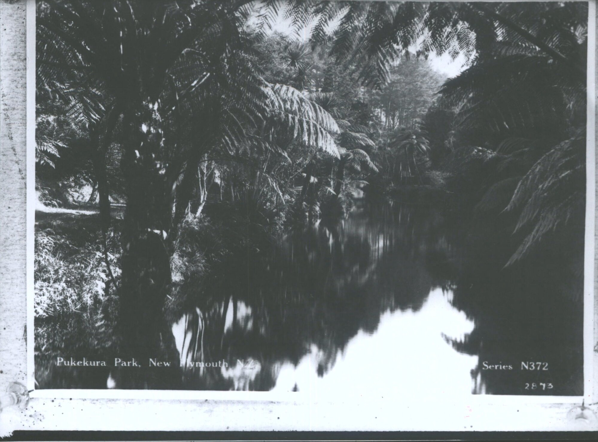 Pukekura Park, New Plymouth, N.Z.