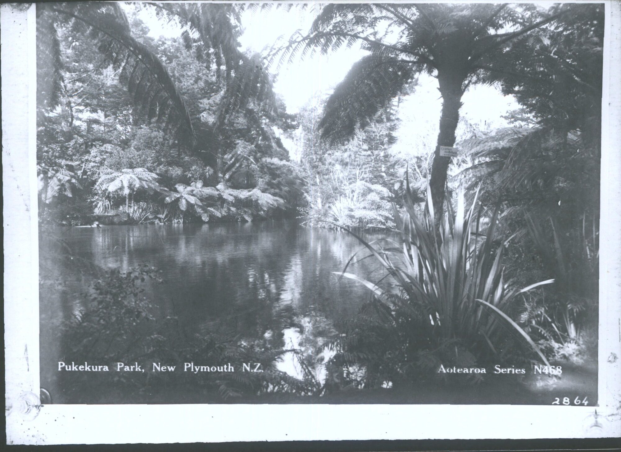 Pukekura Park, New Plymouth N.Z.