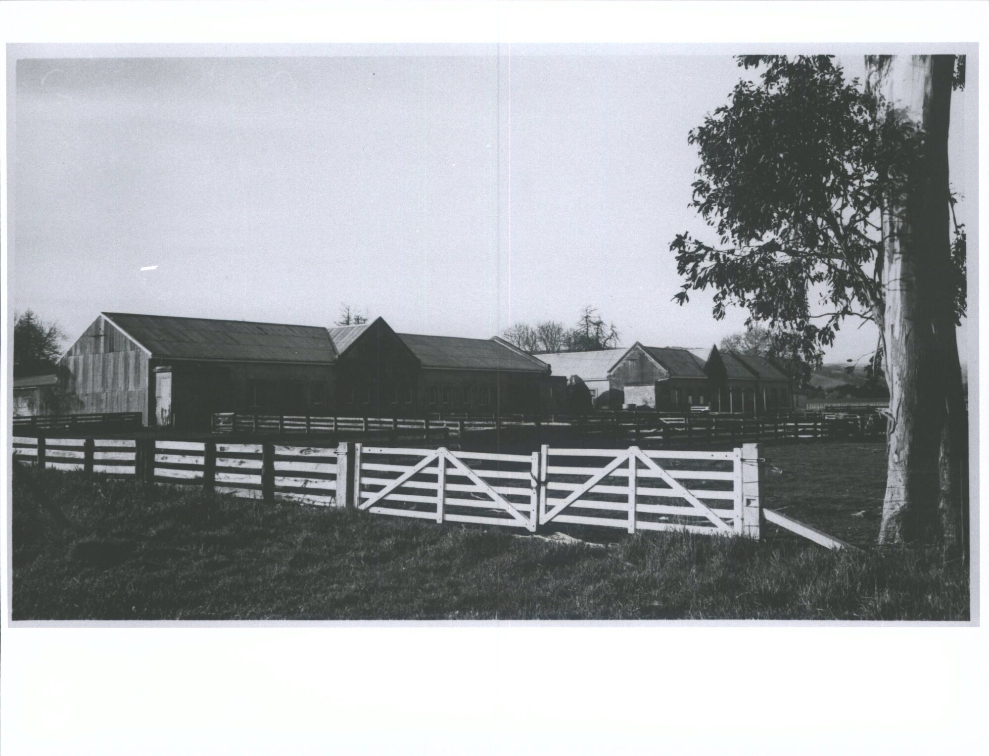 "Abbotsford Farm", Allanton Road