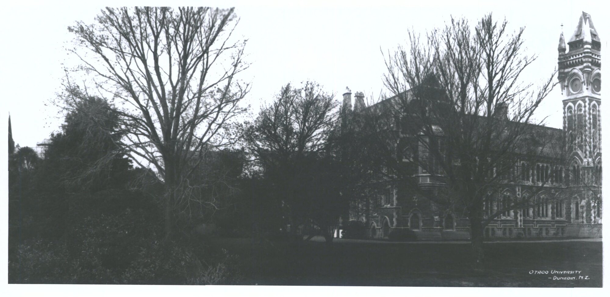 "Otago University Dunedin N.Z. Part 2 of 3 part pan