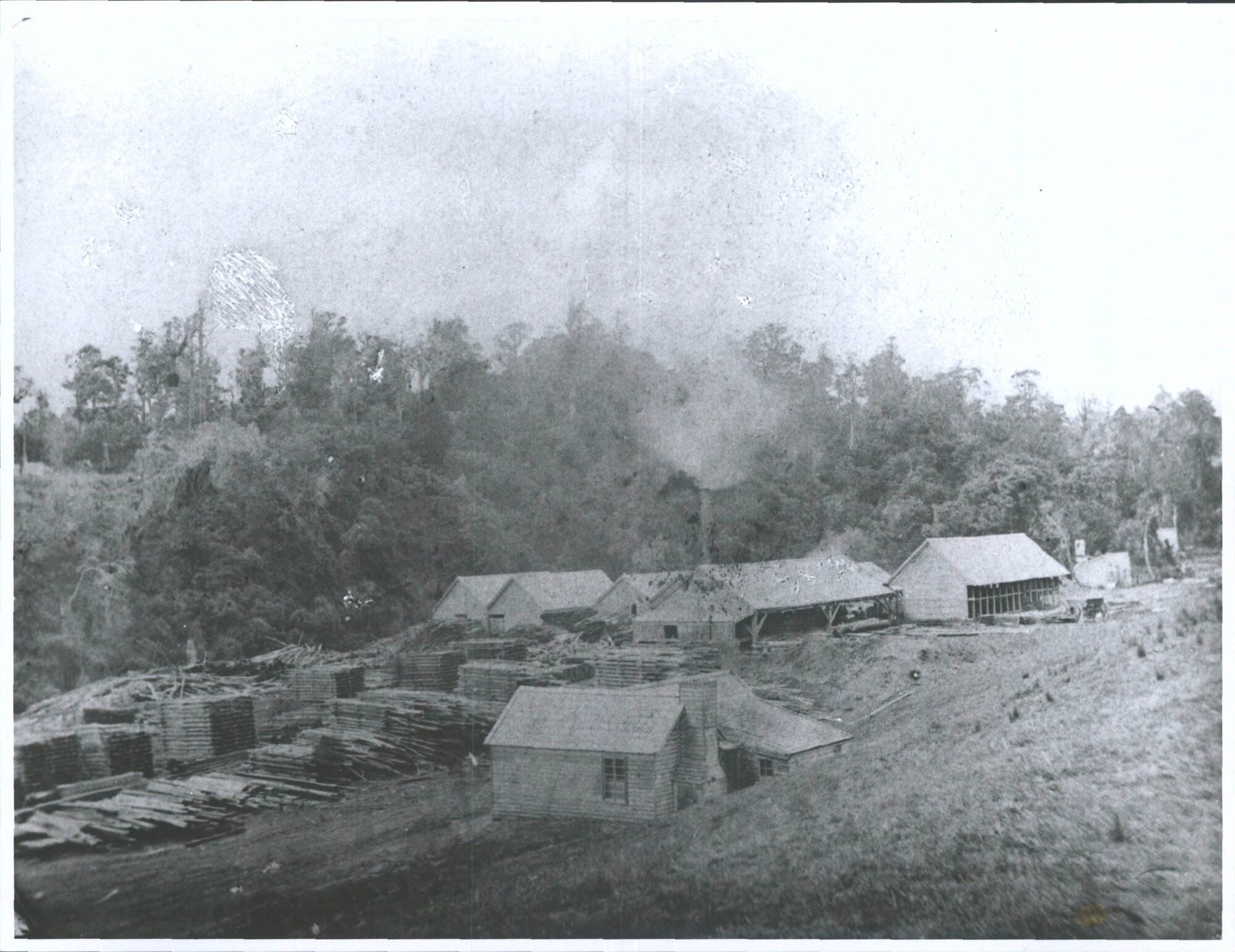Herbert, Howatt &amp; Co.'s Victoria Saw Mills, Tapanui, Otago