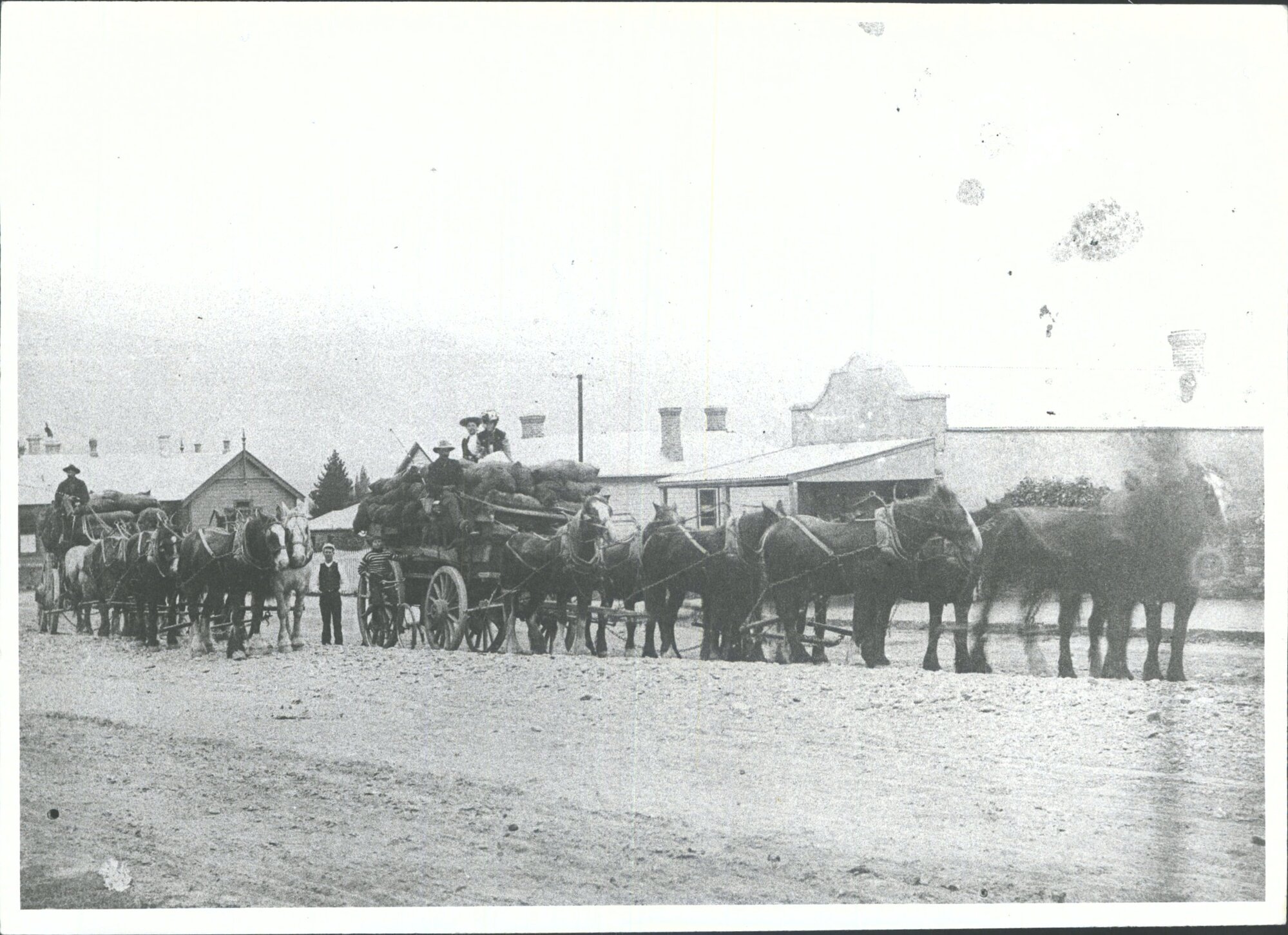 Main St. W. M. Bain, butcher shop