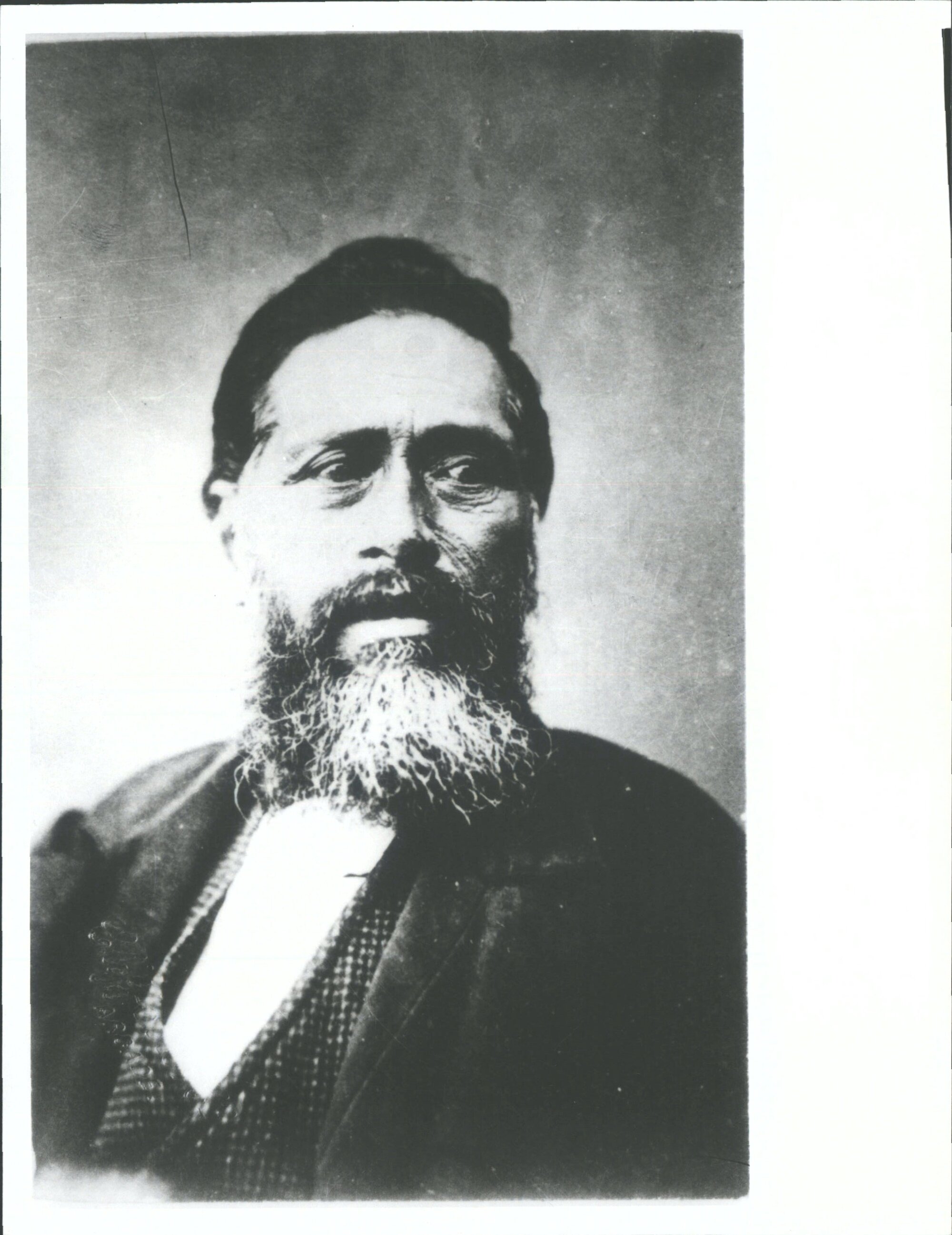 Potiki, Wiremu Chief of Ruatitiko, William Potiki