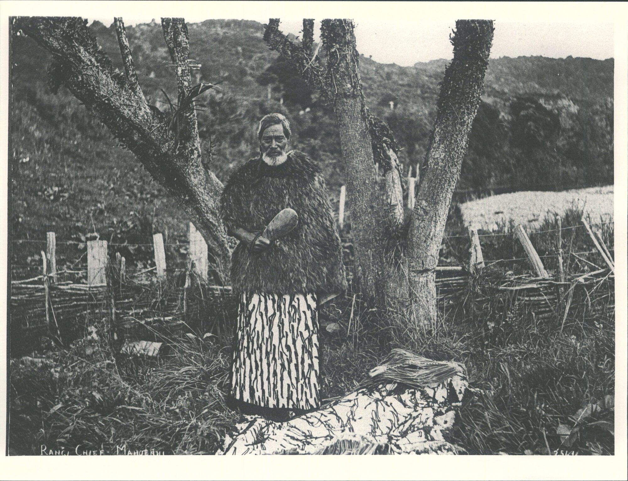 Rangi, Chief of Mahoenui