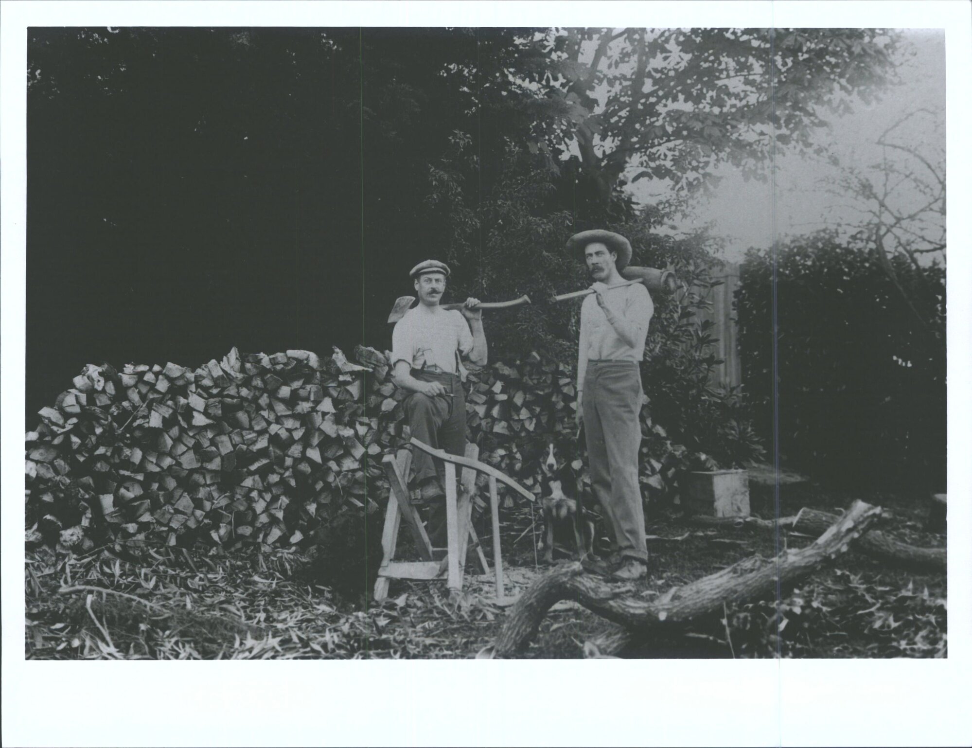 Two woodcutters and their dogs