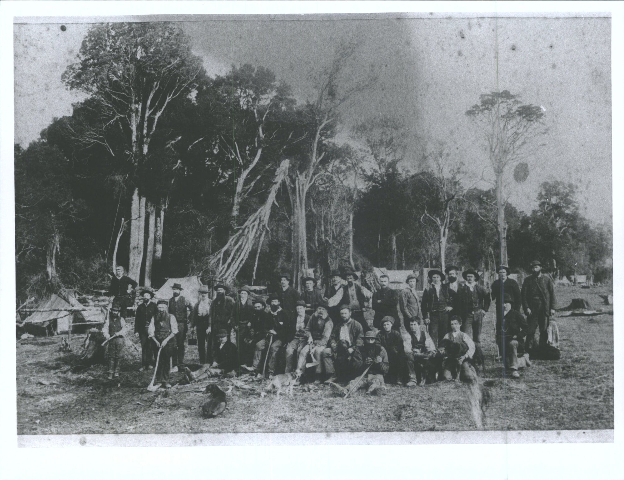 Photo of woodcutters