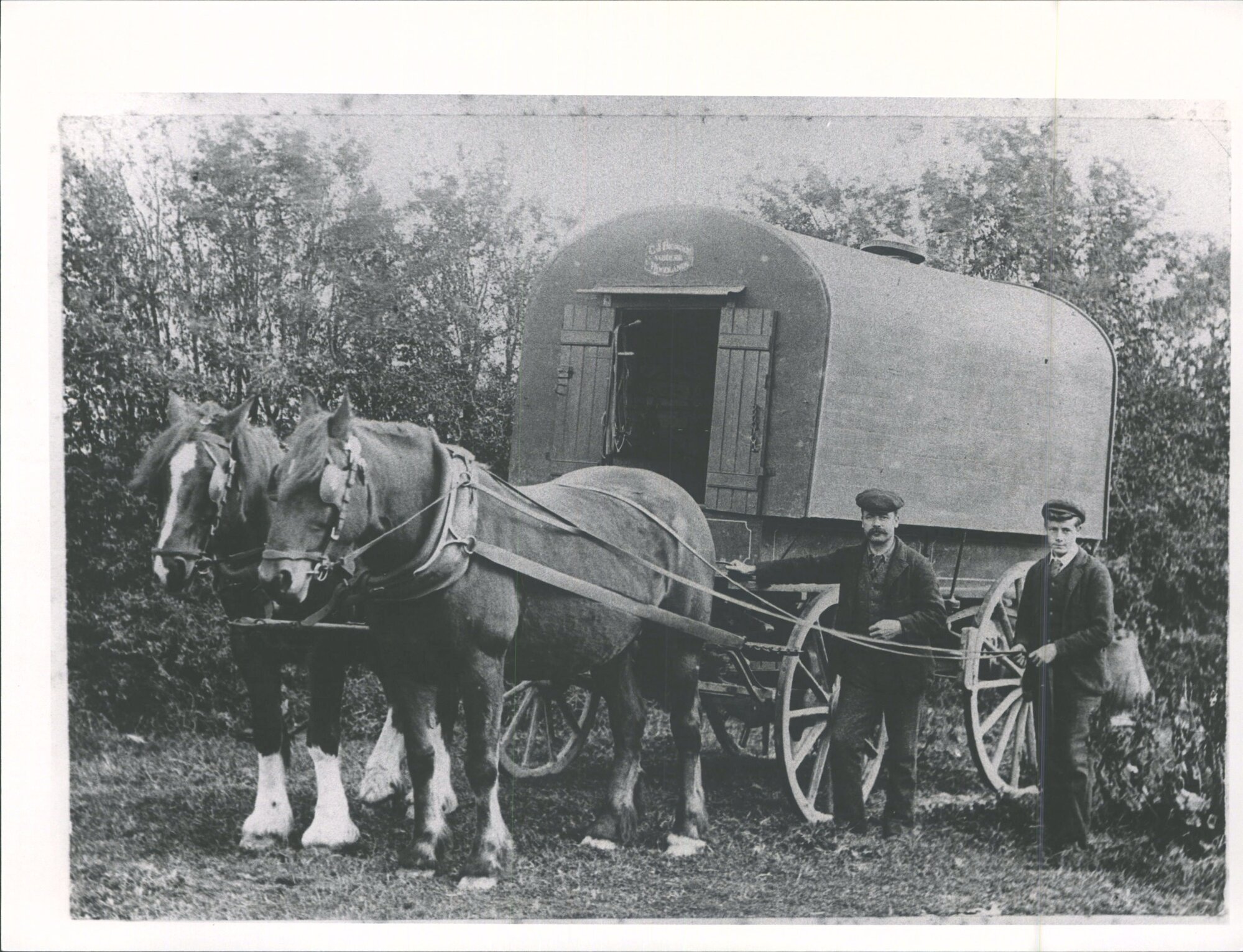 Horse-drawn vehicles, saddler