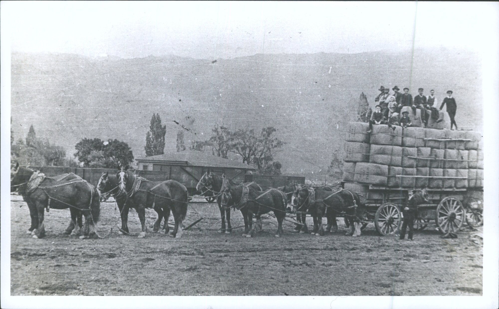 Seven ton load wool at Clyde railhead