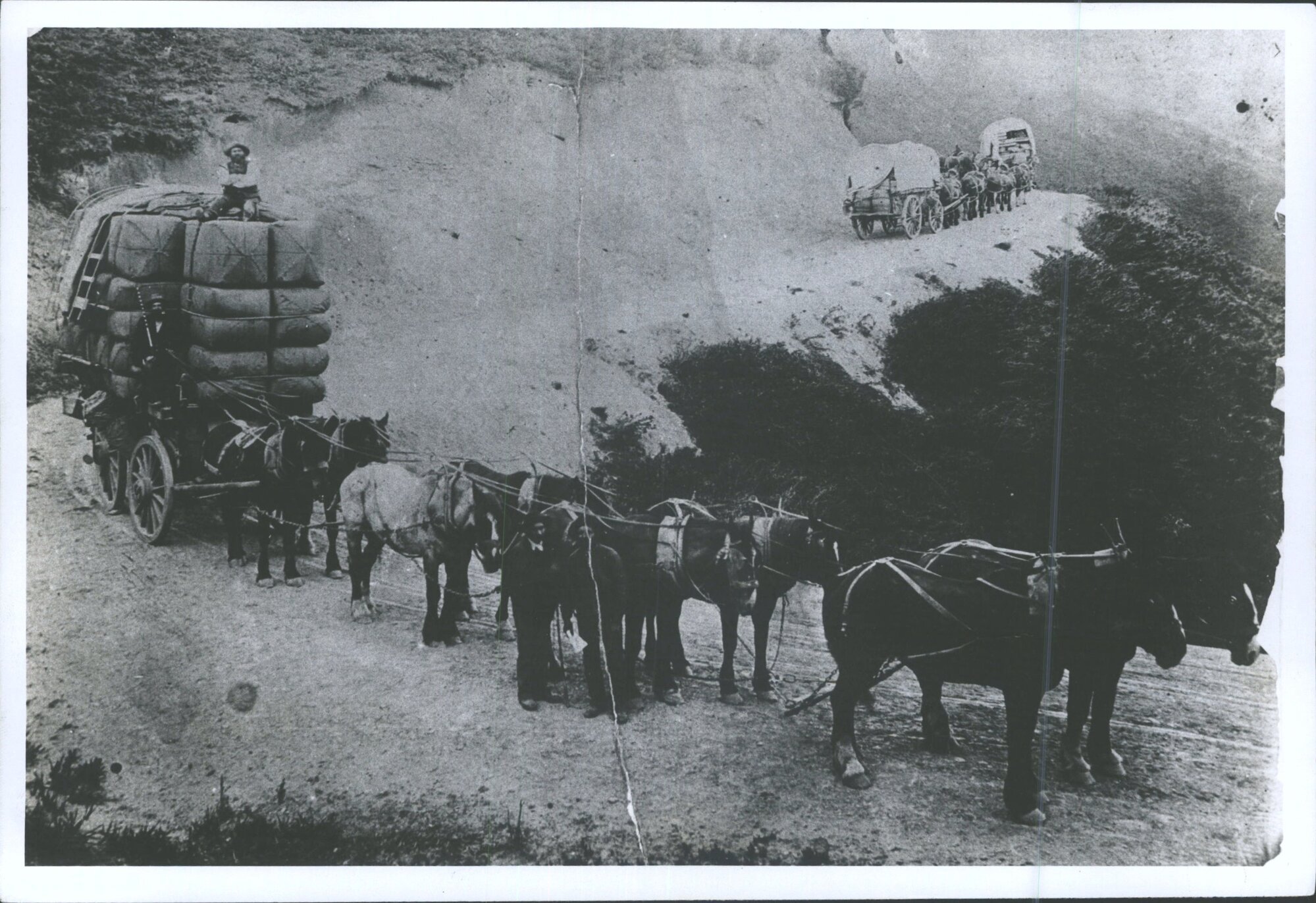 [Largest load of wool, 52 bales, driven over Raes Junction Hill by Mr William Leslie, Alex Stevens &amp; George Leslie]