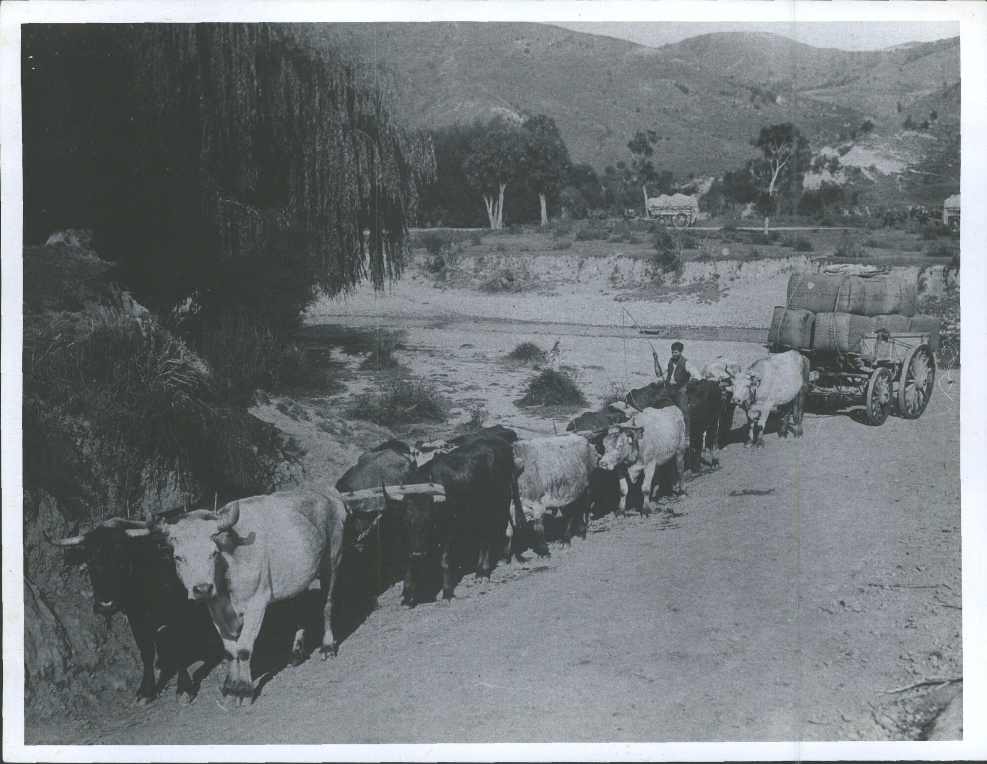 Near Takapau Station