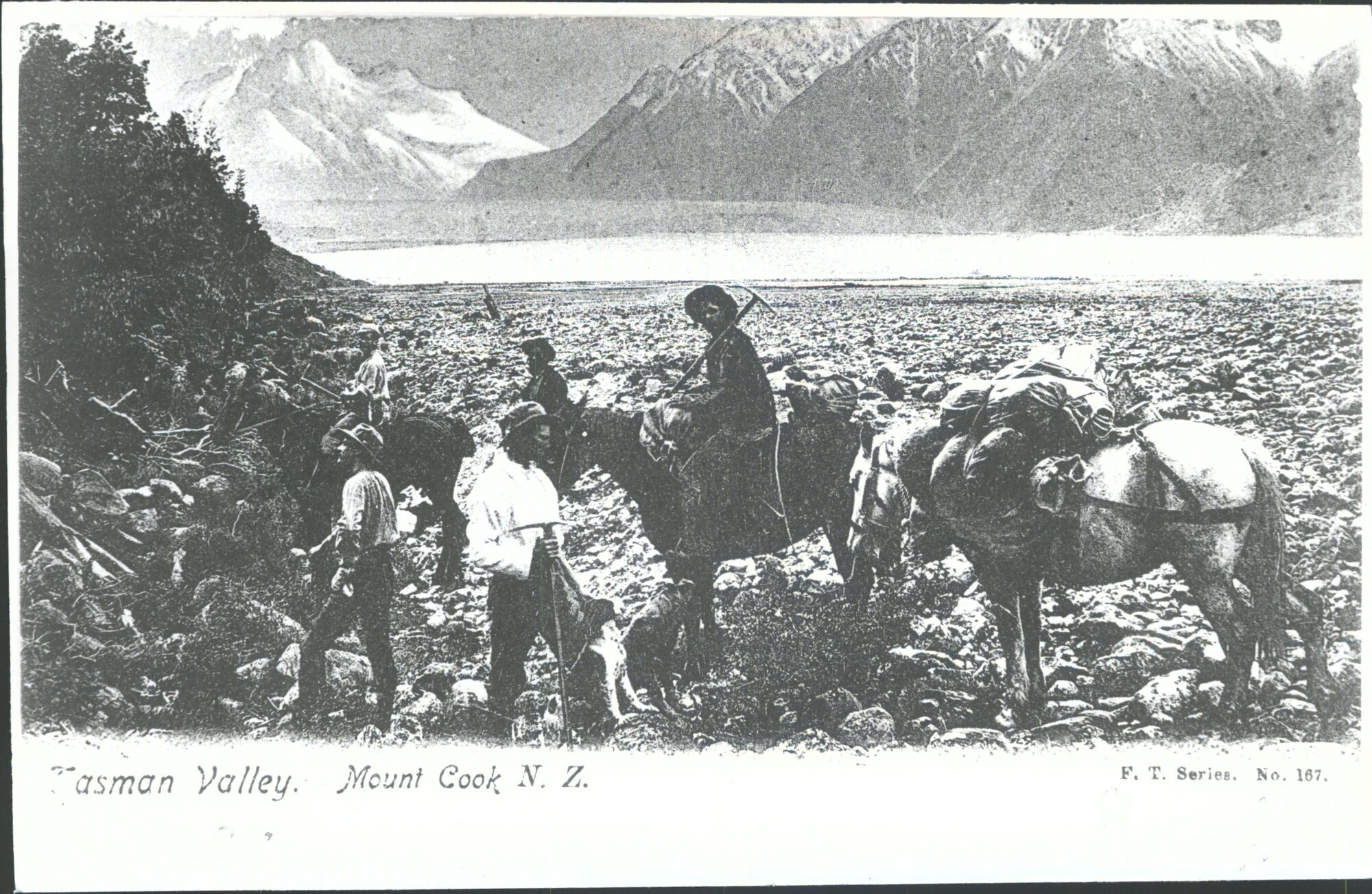Tasman Valley, Mount Cook, N.Z.