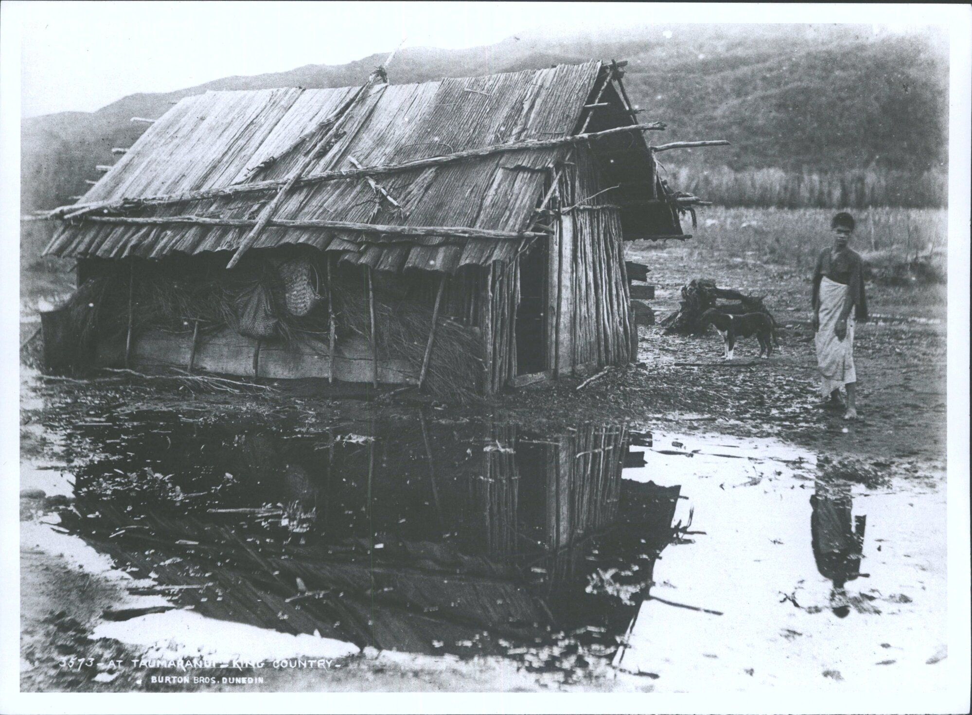 Maori Dwelling at Taumarunui, King Country