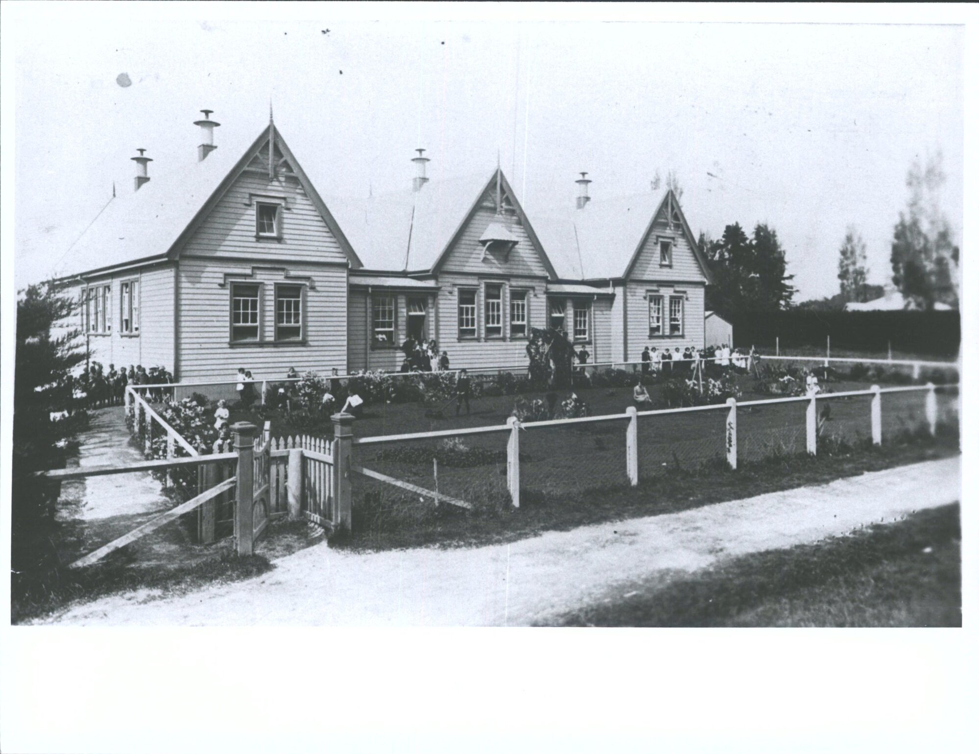 Tauranga Primary School
