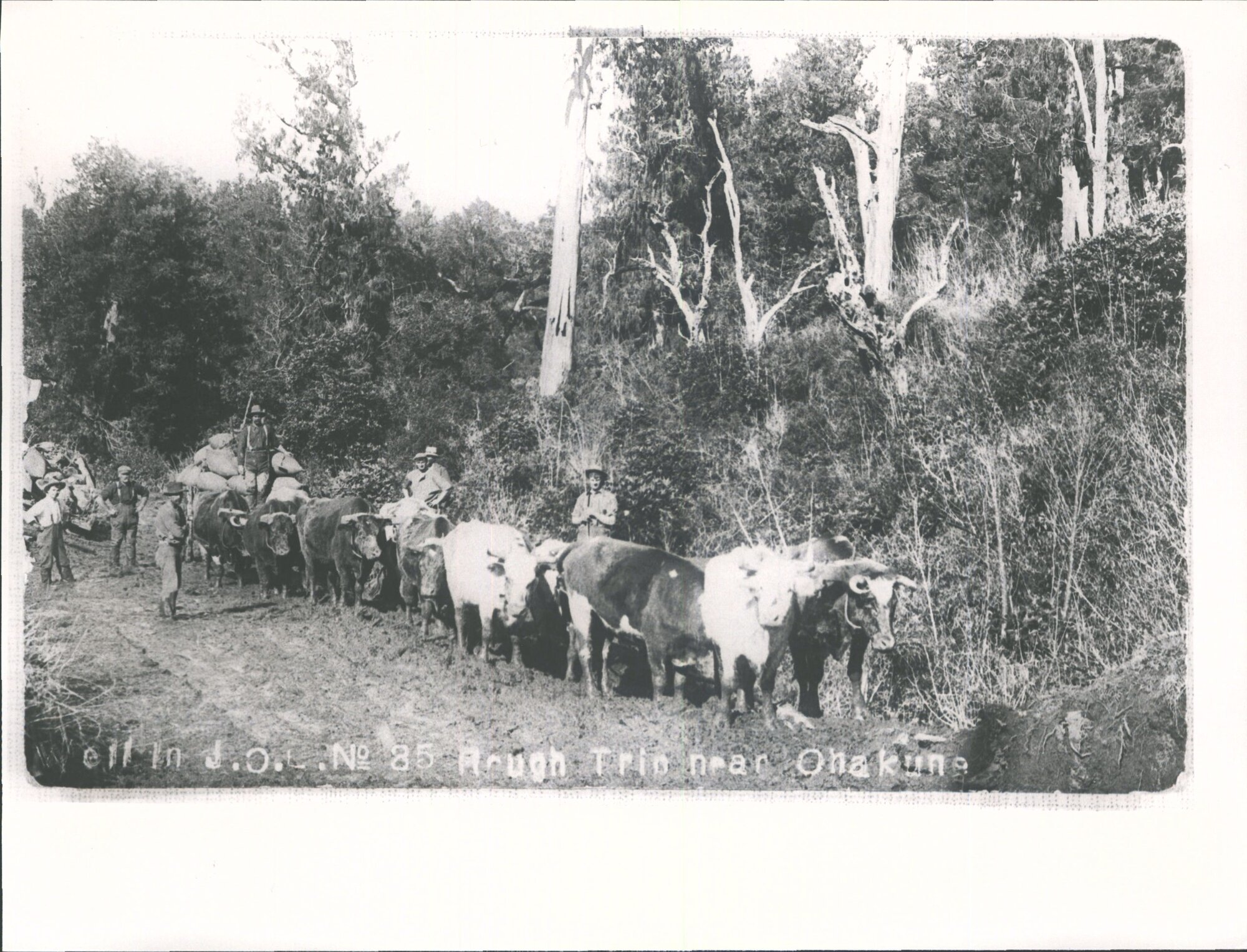 Rough trip near Ohakune'