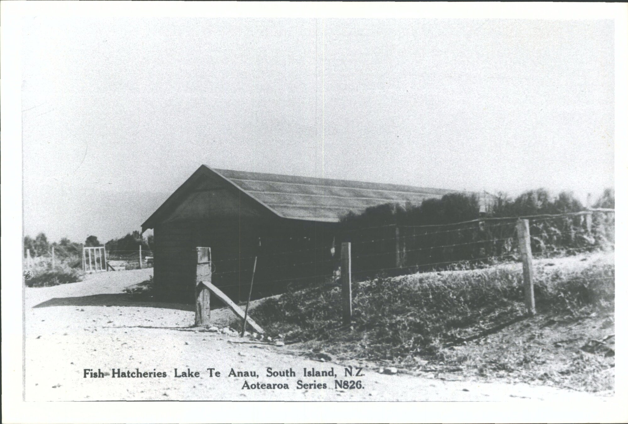 Fish hatcheries, Lake Te Anau, South Island, N.Z.