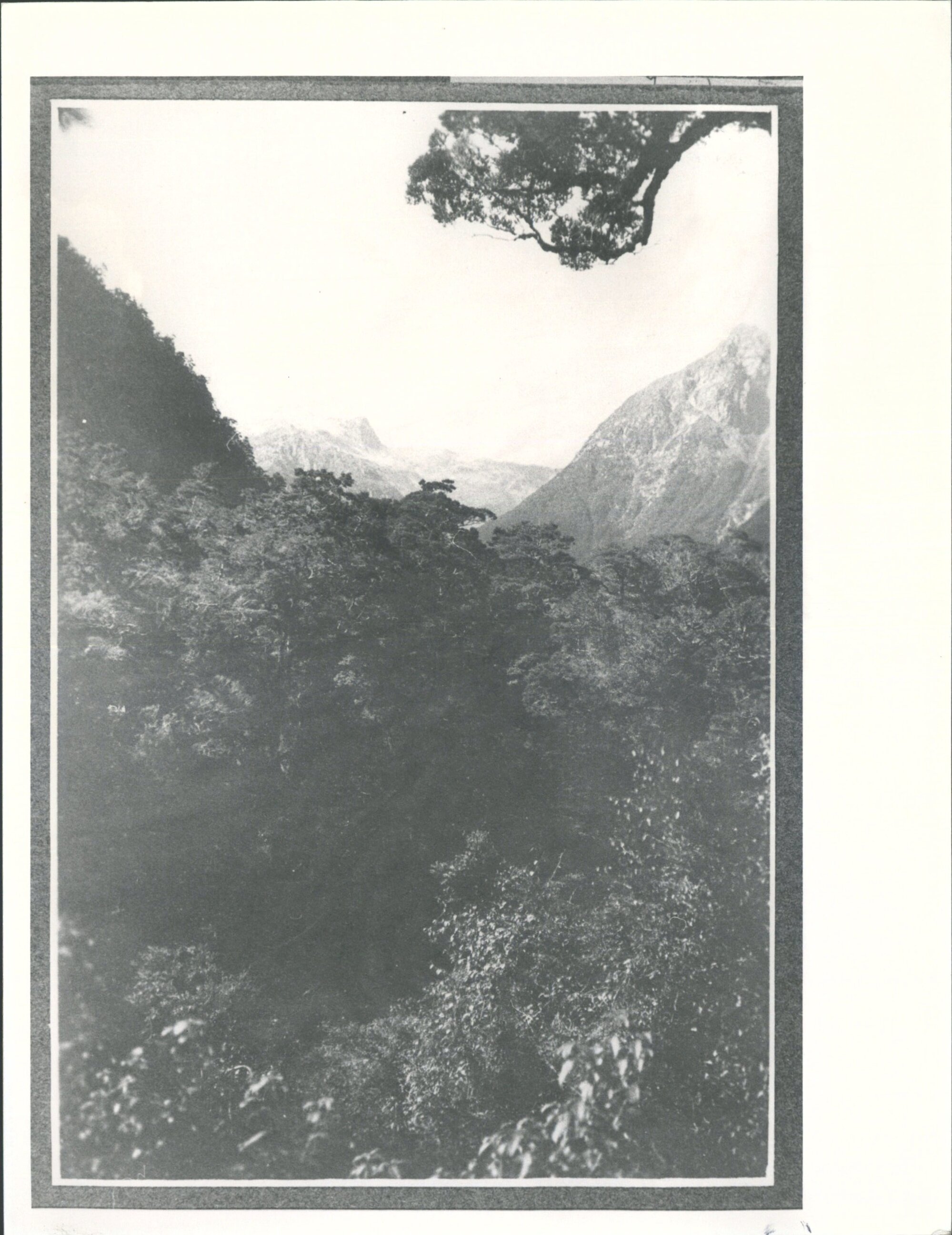 View above Glade House