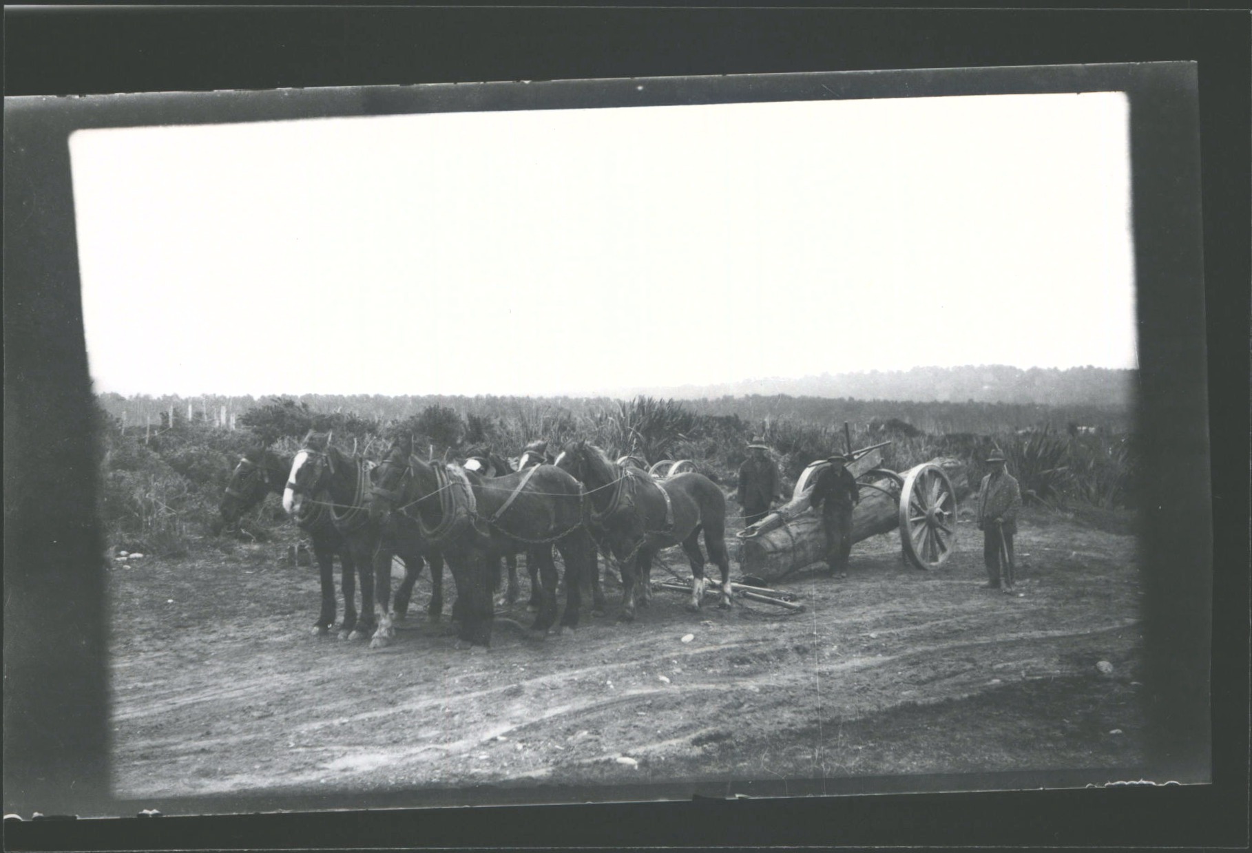 Goldmining Five mile Beach Claim