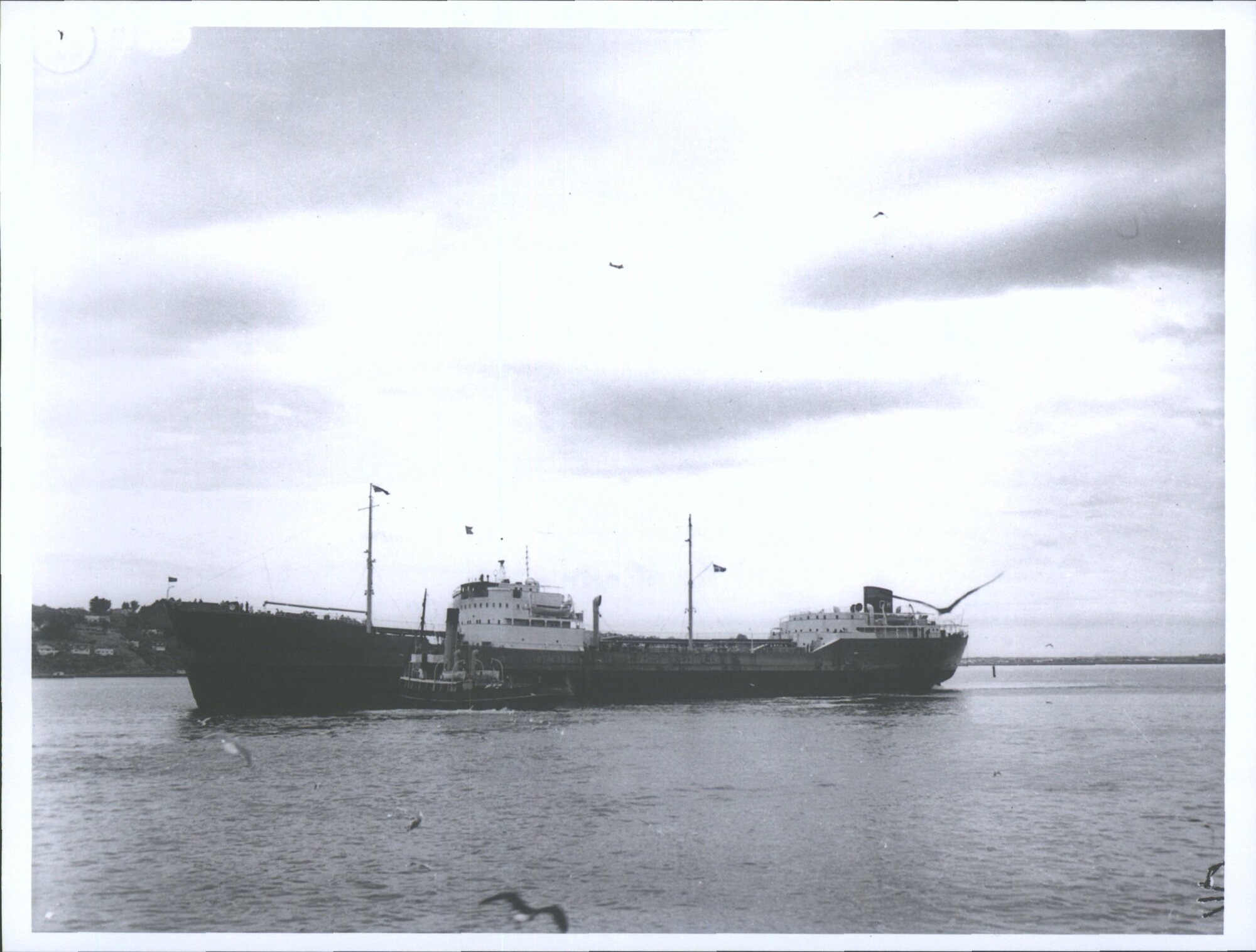 AIDA (2)