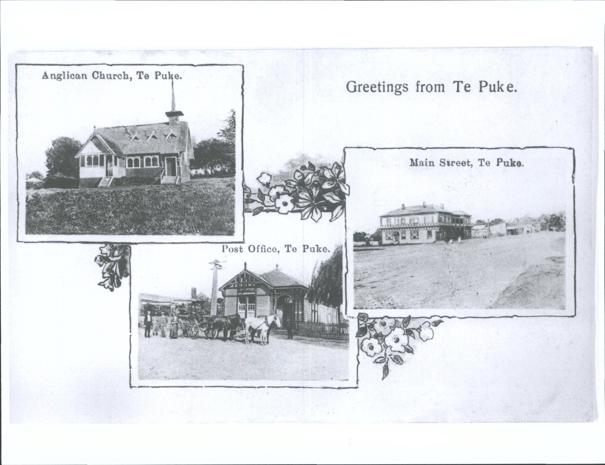 Greetings from Te Puke