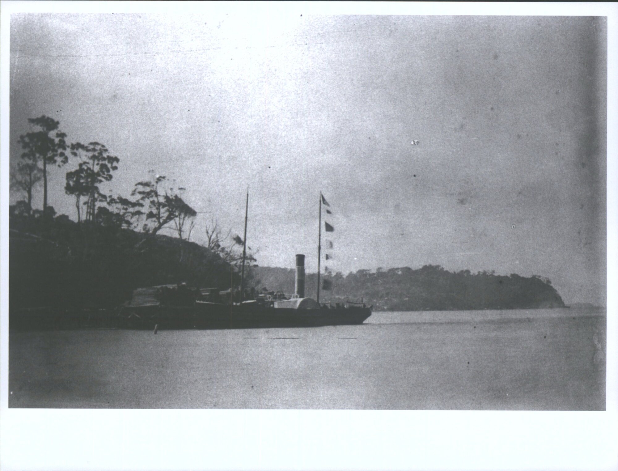Awarua (8) Paddle Steamer (At Stewart Island)