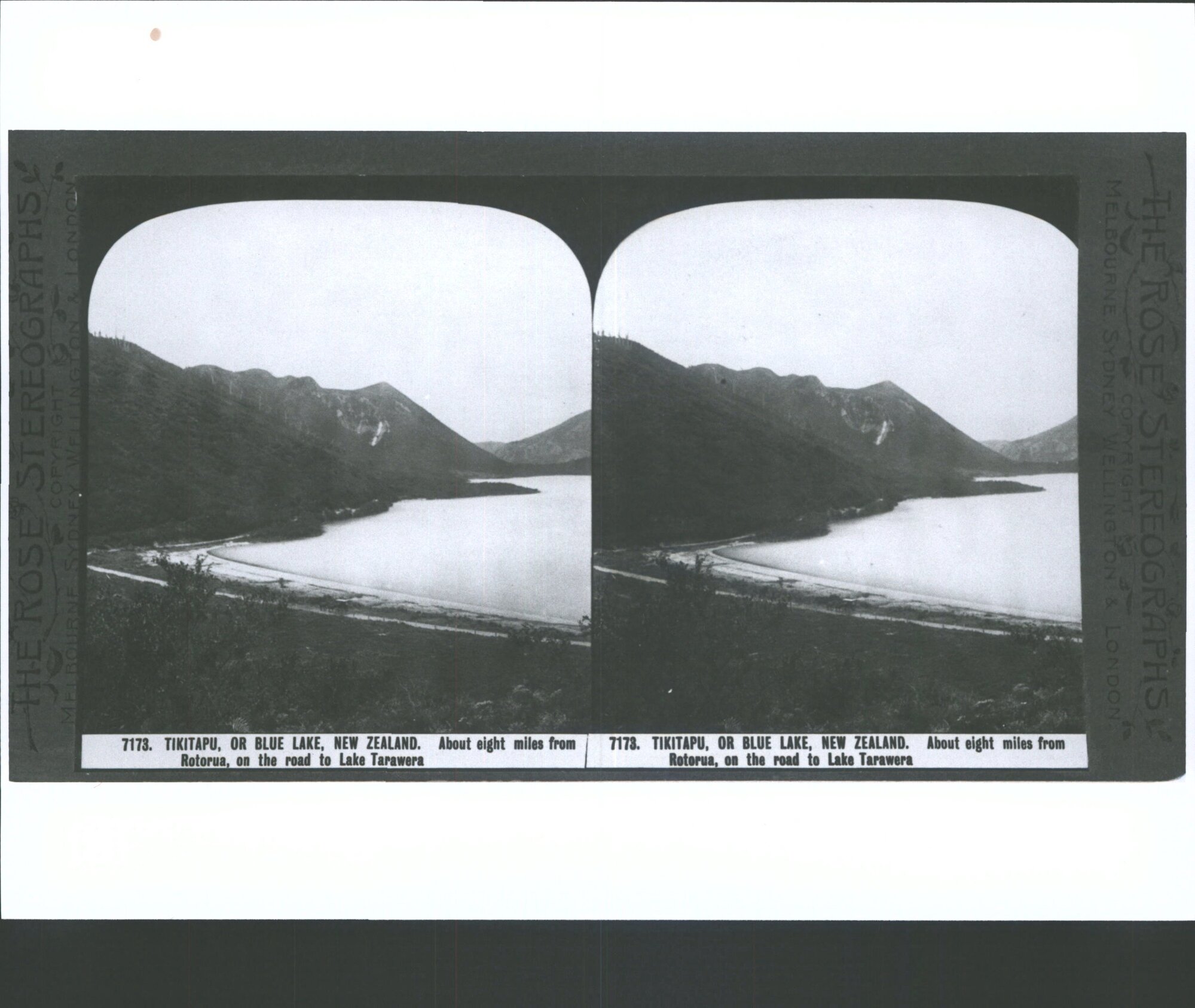 Tikitapu, or Blue Lake, New Zealand